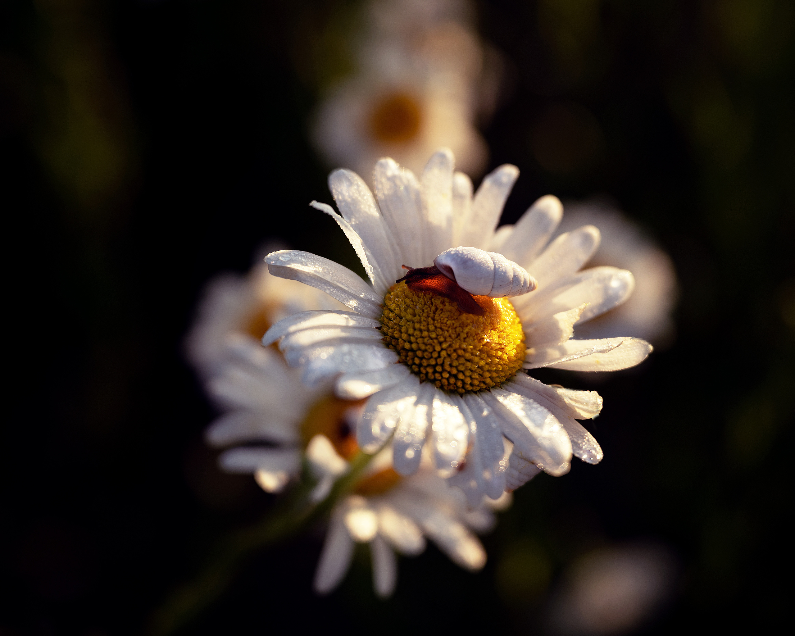 Крым. Портретный фотограф в Челябинске Катерина Руди