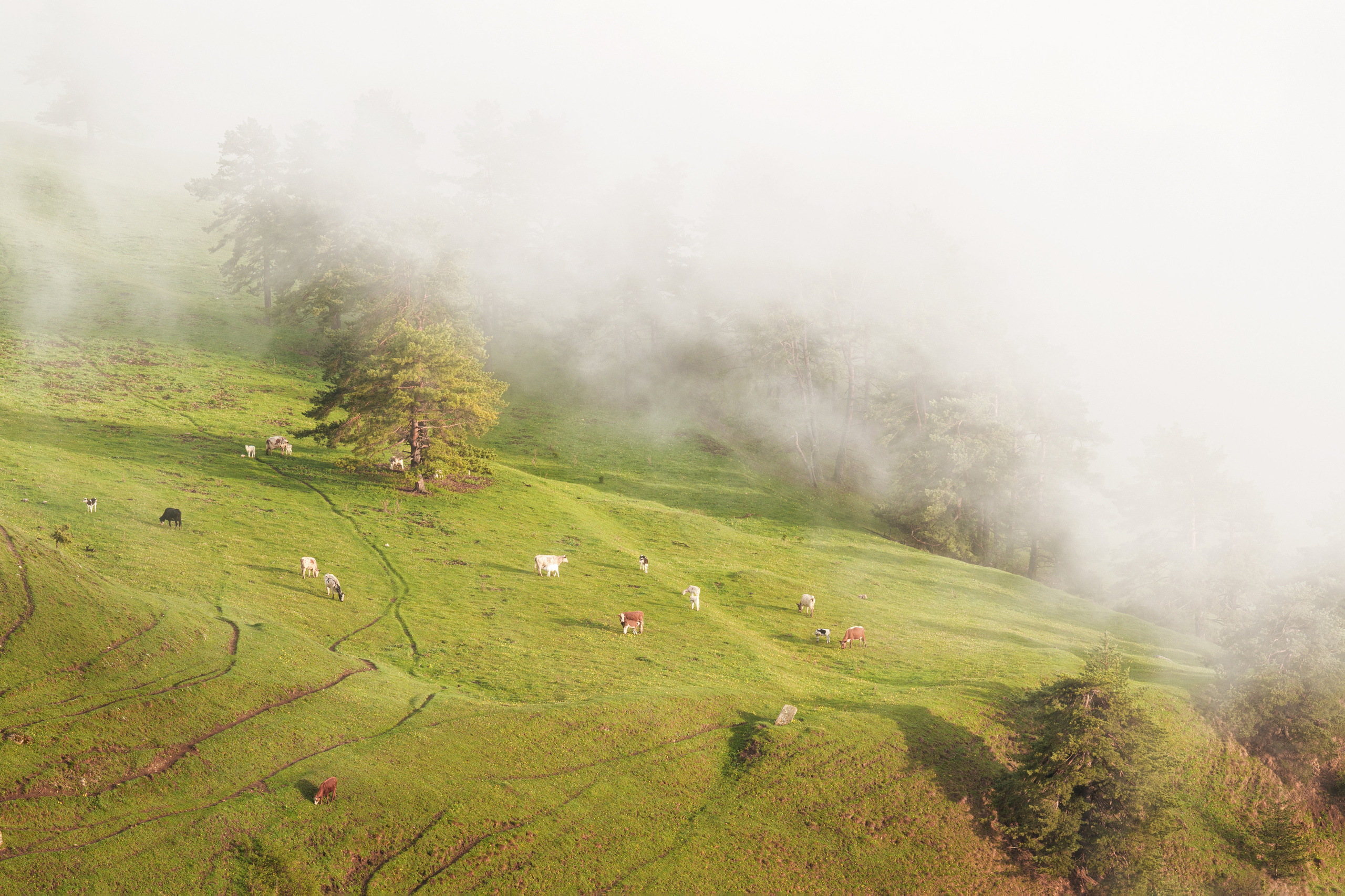 Приэльбрусье, Ингушетия. Портретный фотограф в Челябинске Катерина Руди