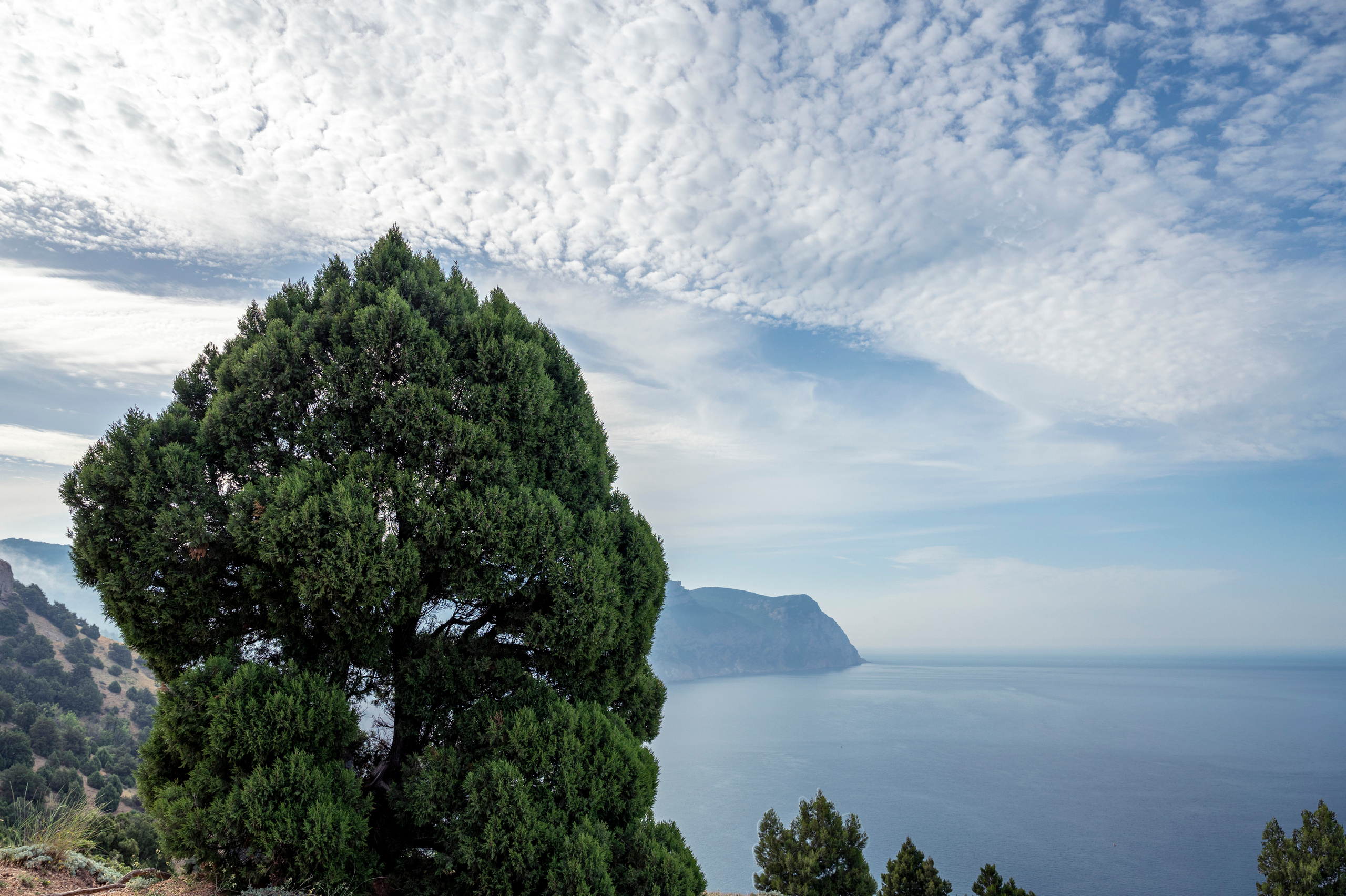 Крым. Портретный фотограф в Челябинске Катерина Руди