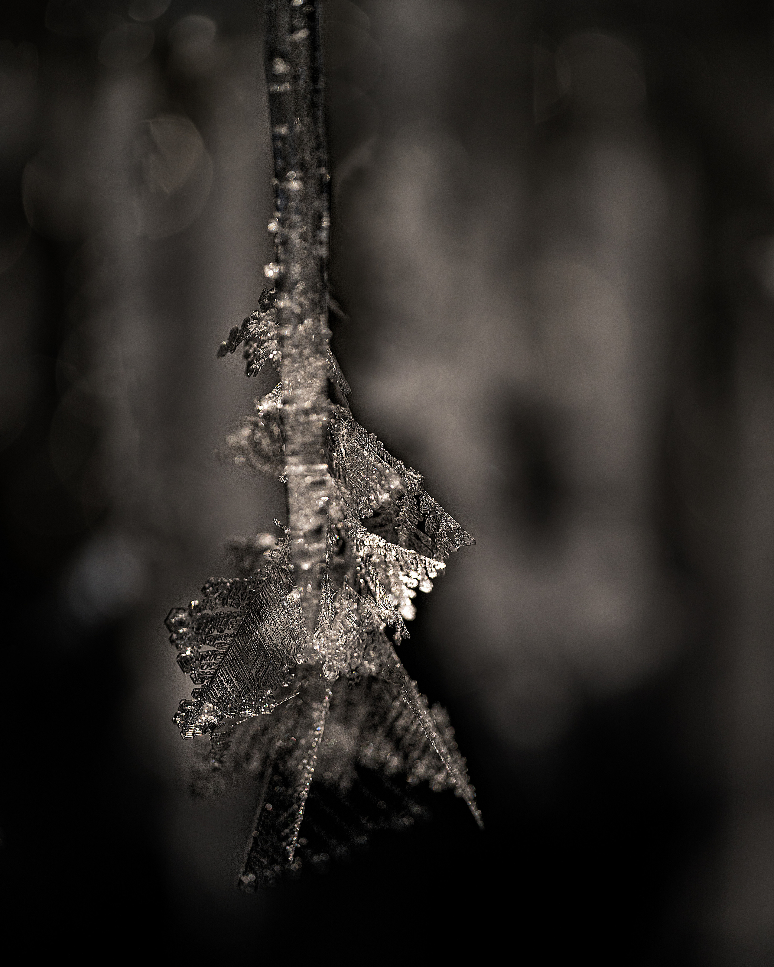 Байкал. Портретный фотограф в Челябинске Катерина Руди