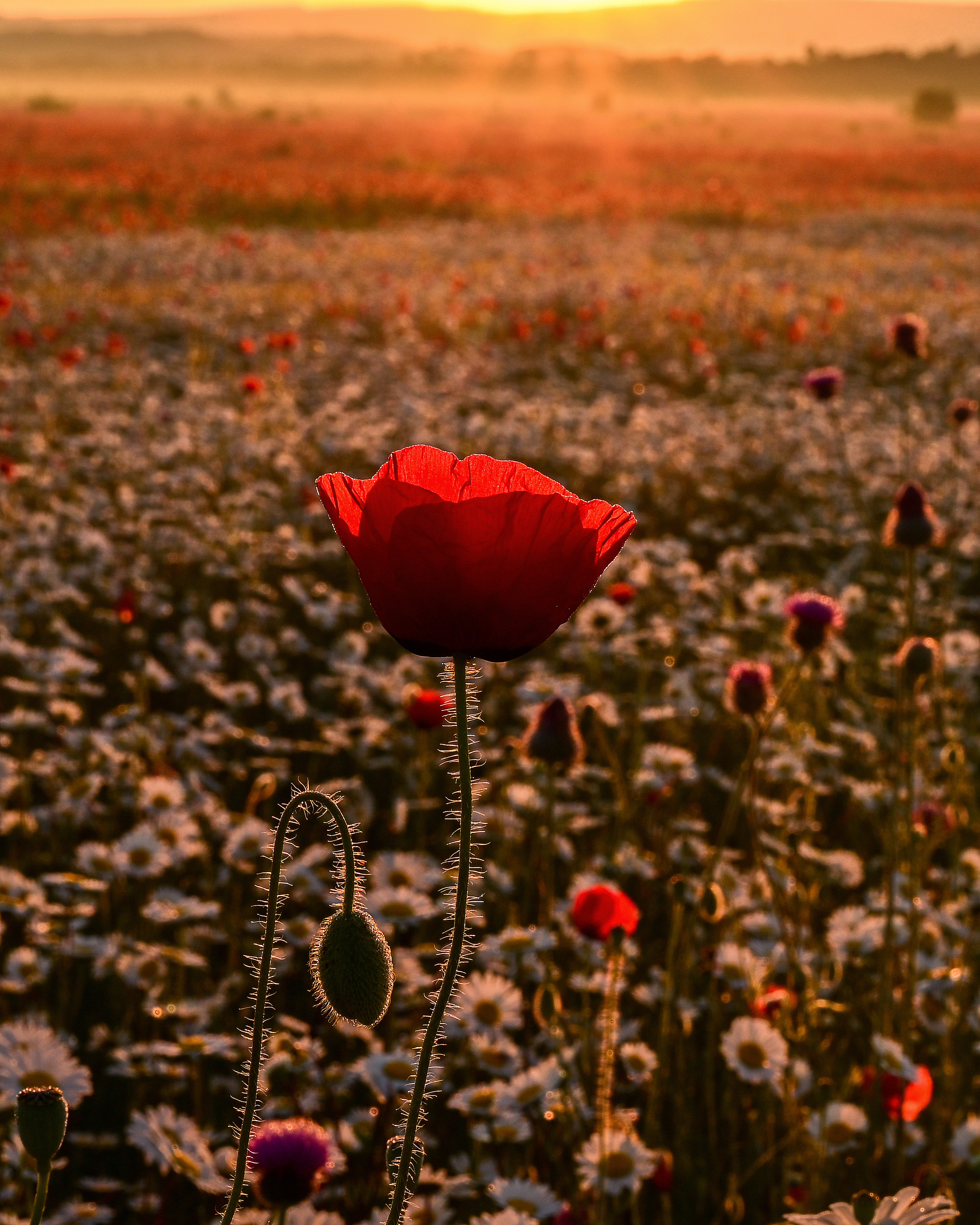 Крым. Портретный фотограф в Челябинске Катерина Руди