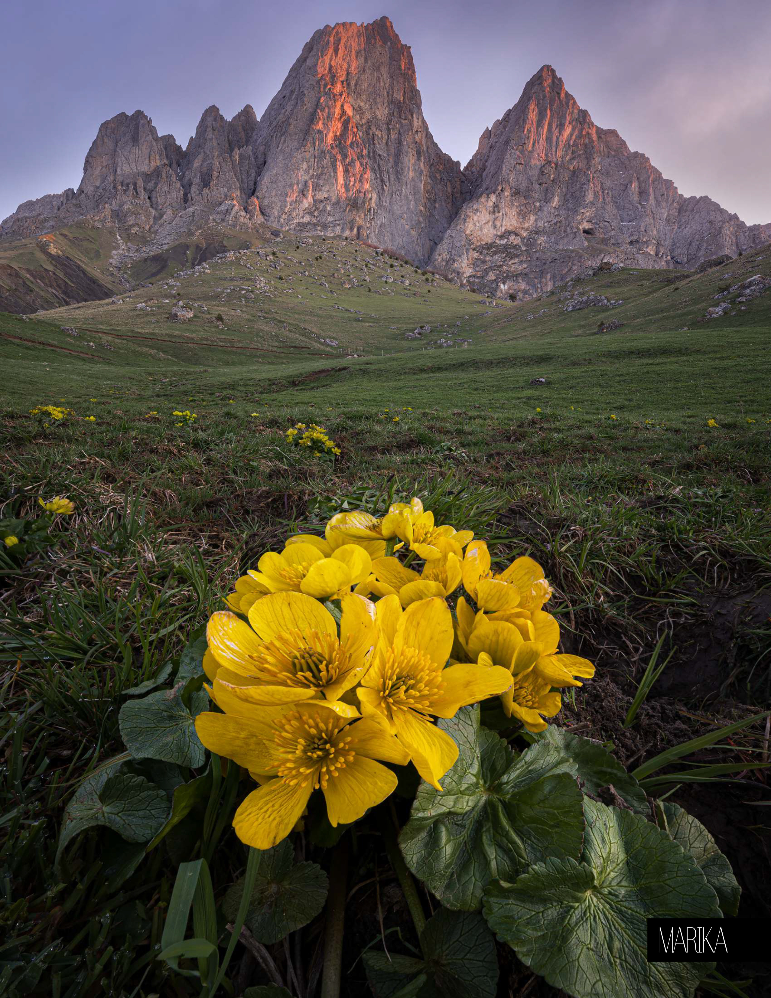 Пейзаж. Портретный фотограф в Челябинске Катерина Руди
