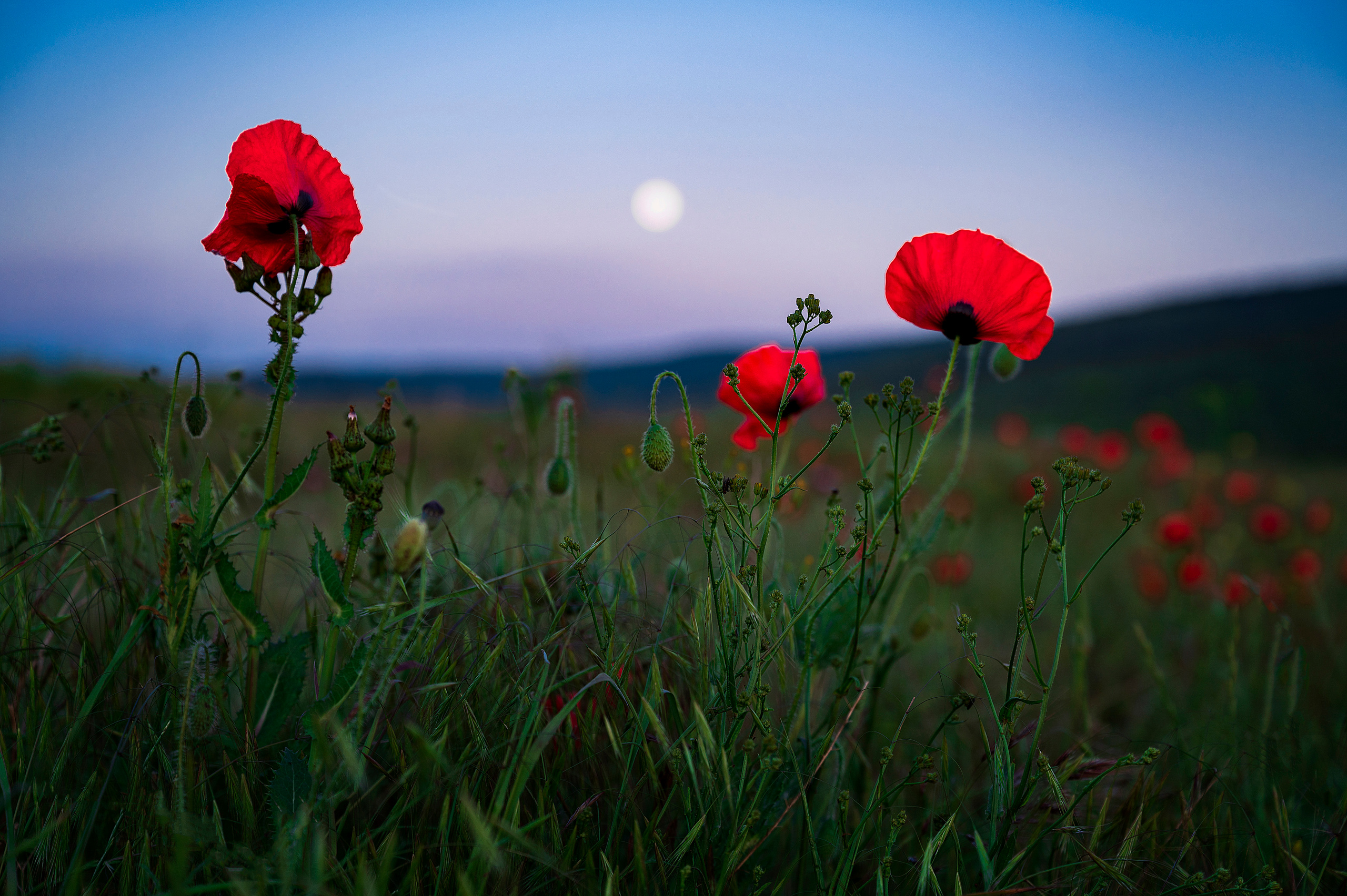 Крым. Портретный фотограф в Челябинске Катерина Руди