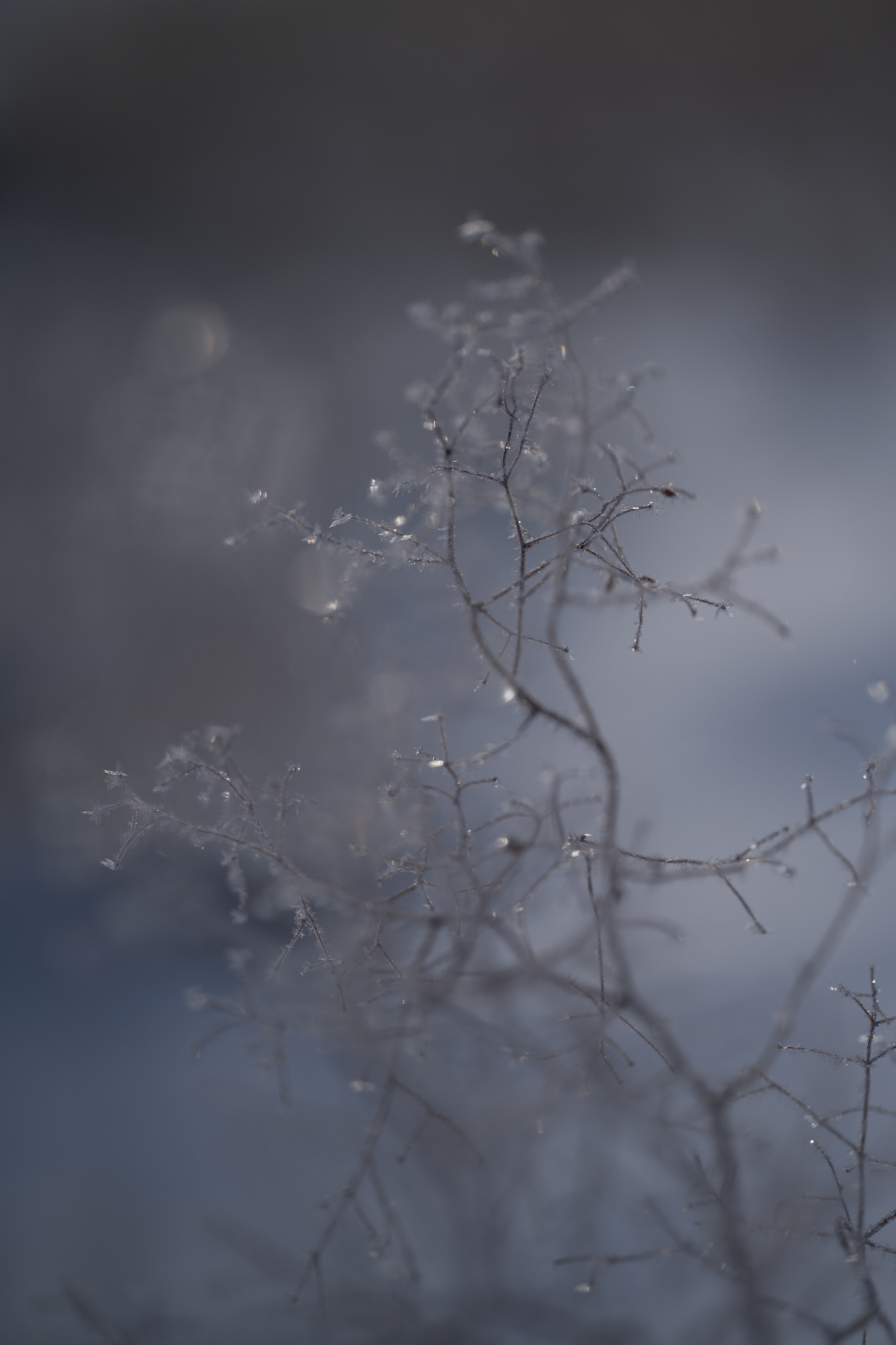 Байкал. Портретный фотограф в Челябинске Катерина Руди