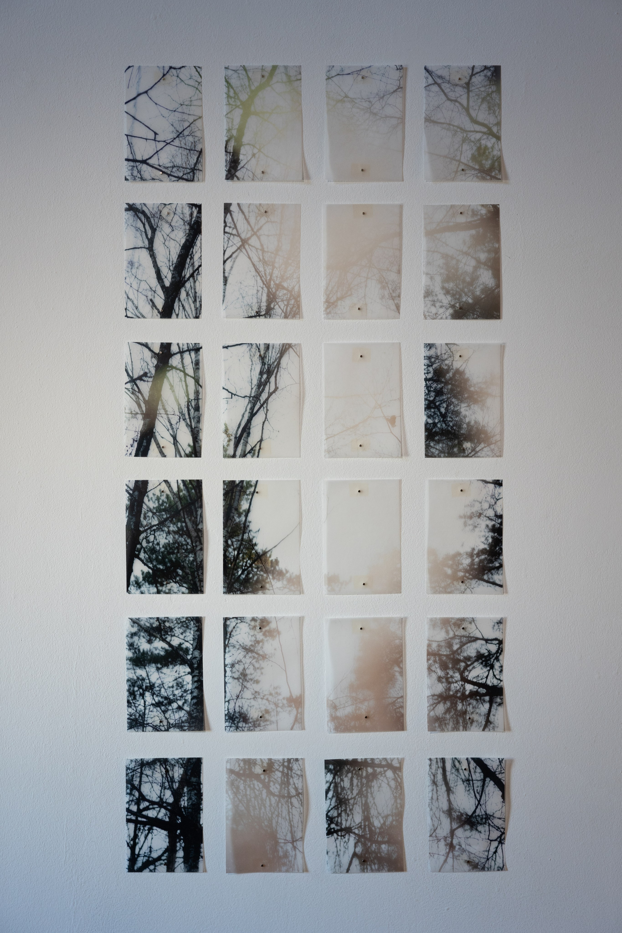 Personal exhibition Interior landscape 2025. Фотограф алина стерхова, алина стерхова фотограф, фотограф москва