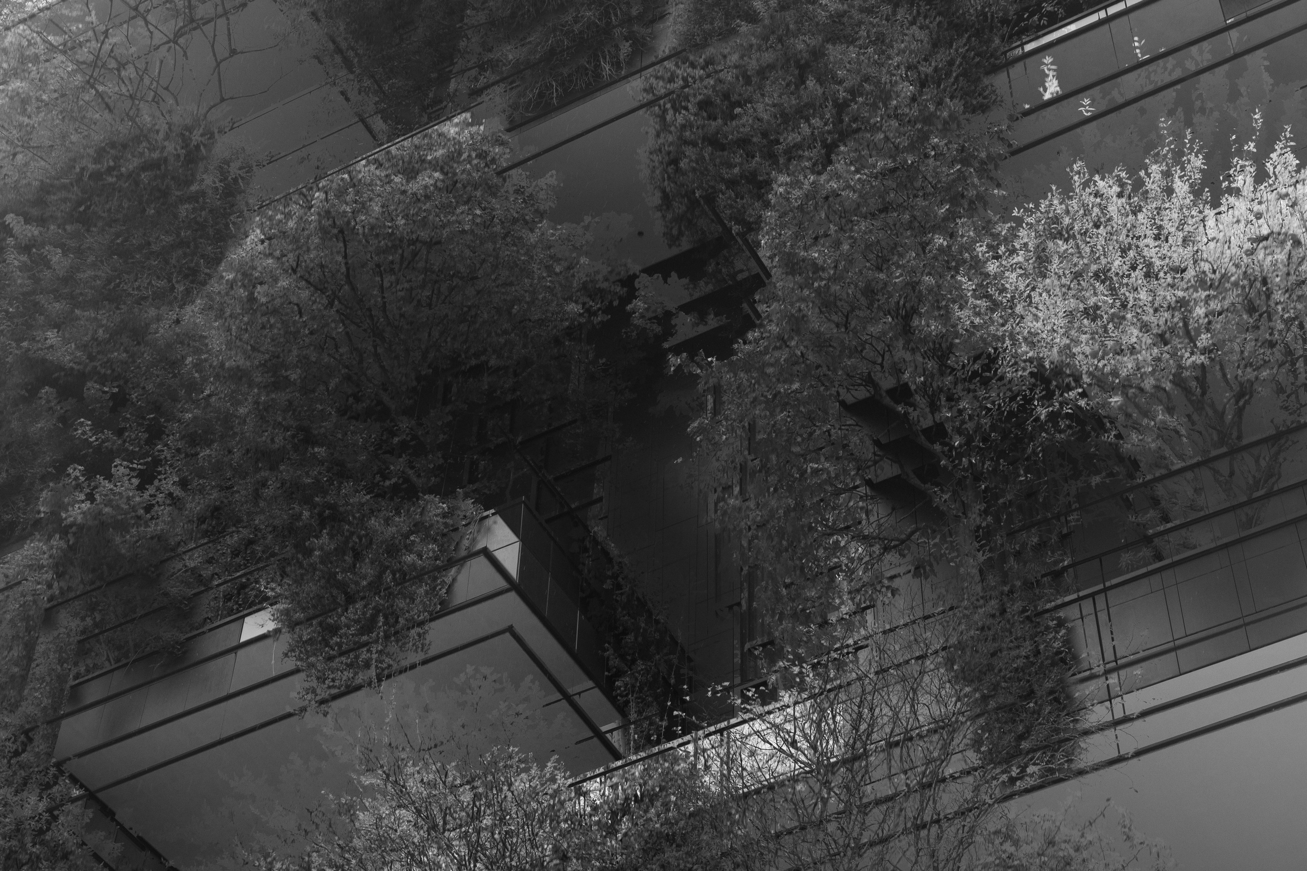 Art prints. Фотограф алина стерхова, алина стерхова фотограф, фотограф москва