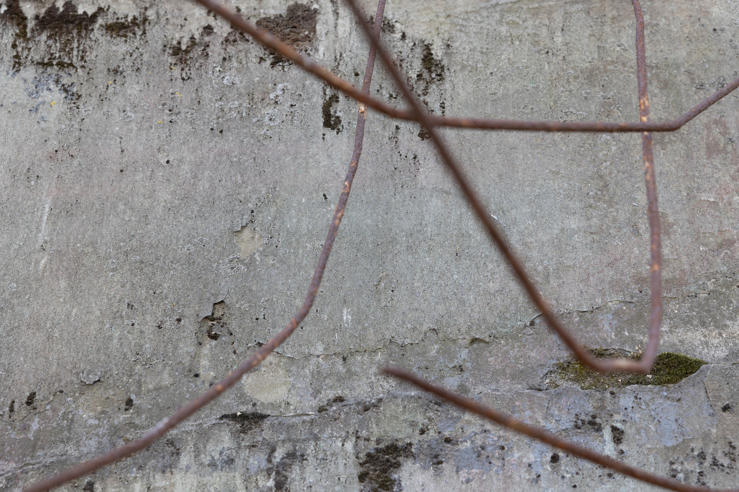 Art prints. Фотограф алина стерхова, алина стерхова фотограф, фотограф москва