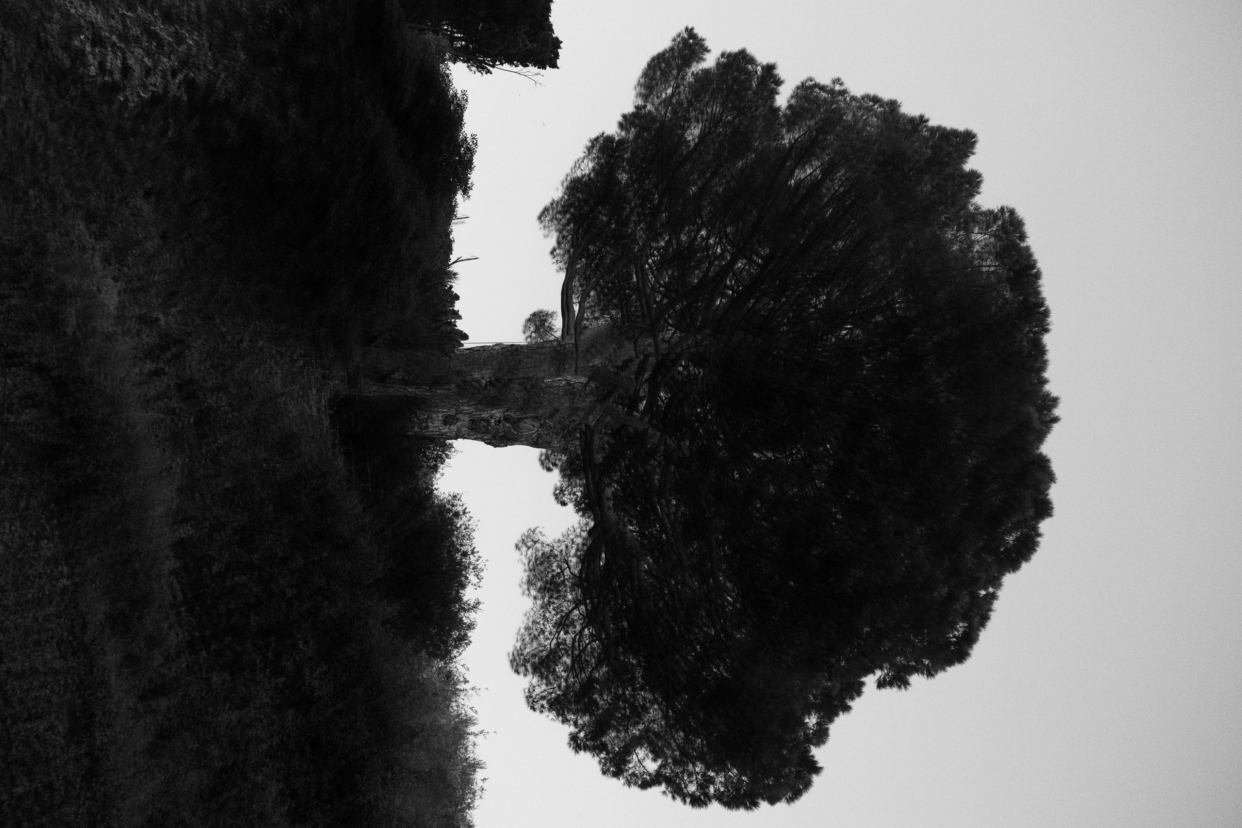 Точка сборки | The assembly point. Фотограф алина стерхова, алина стерхова фотограф, фотограф москва