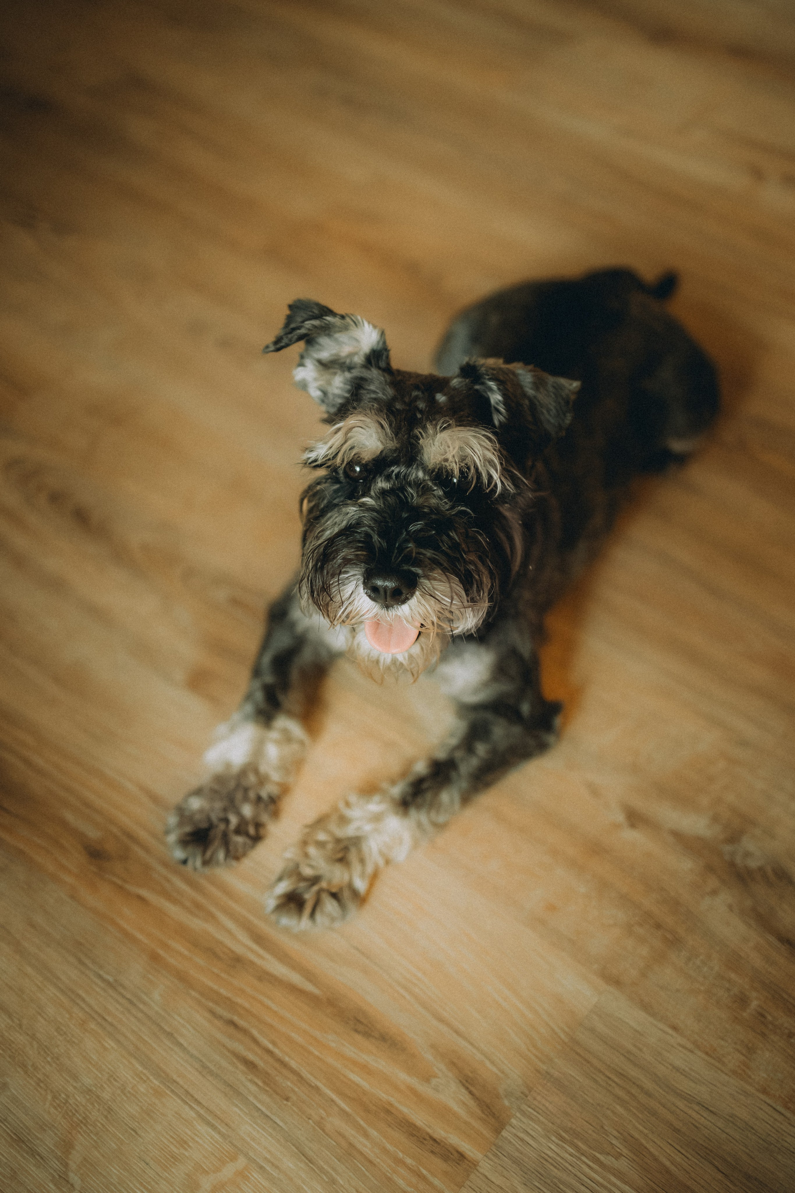 Лена и Зефир