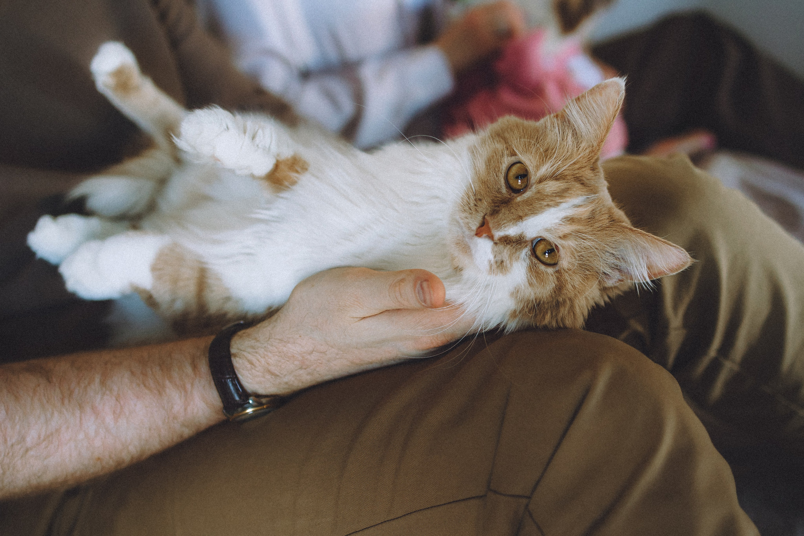 День Рождения Шу