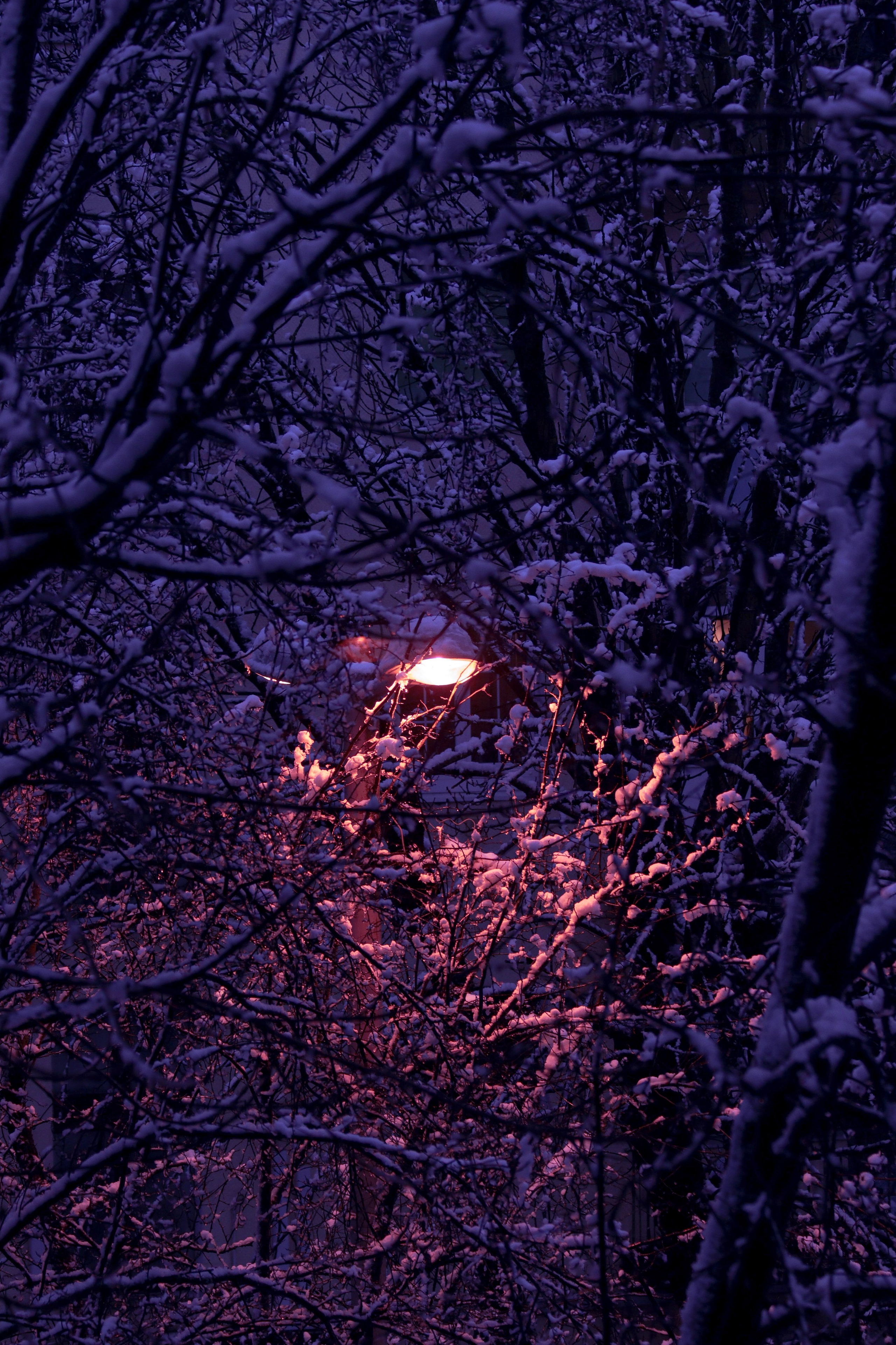 Ф И О Л Е Т О В А Я — Э С Т Е Т И К А. — Digital Noise —