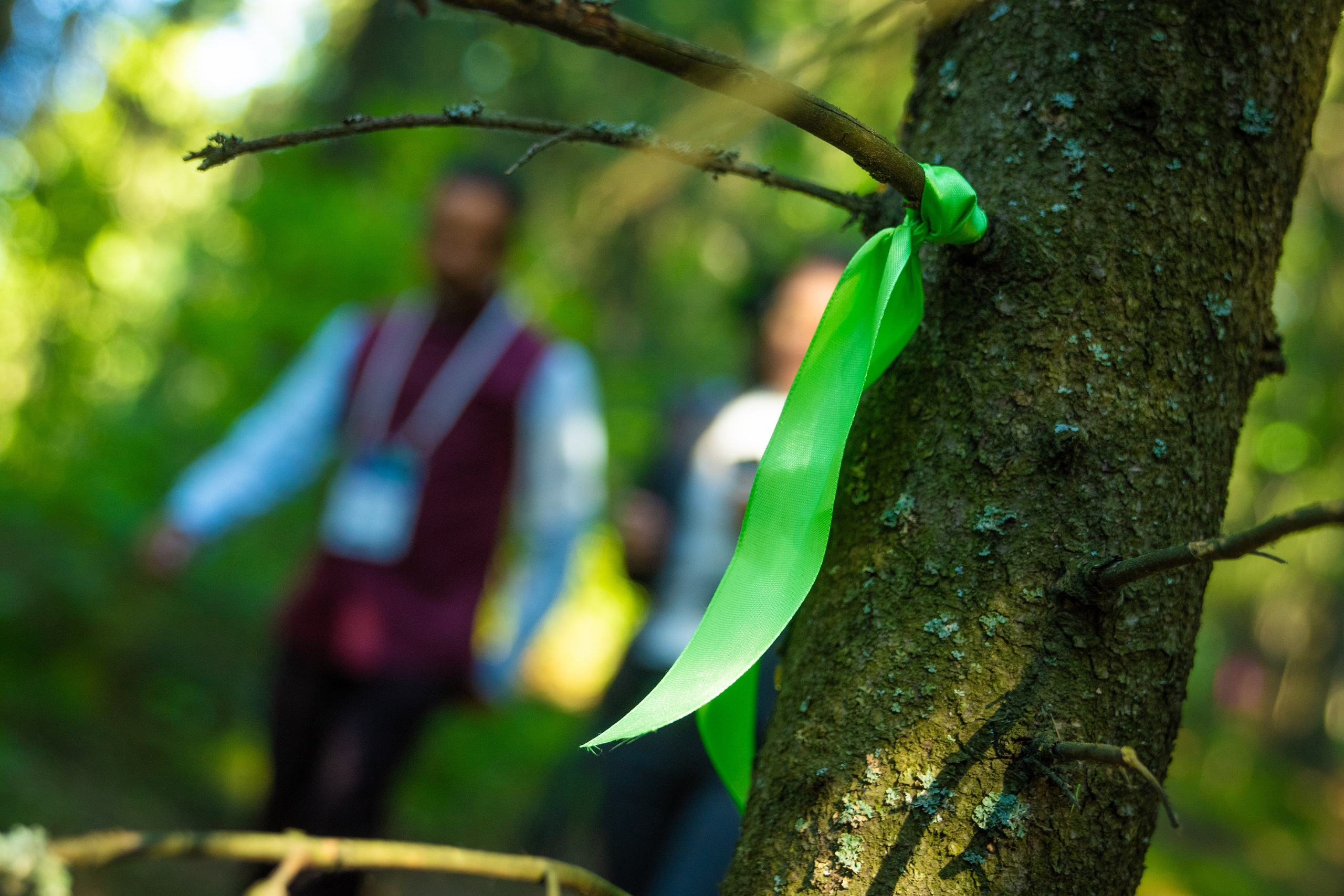 Репортаж. Фотограф Ханты-Мансийск Тимофей Чеботин