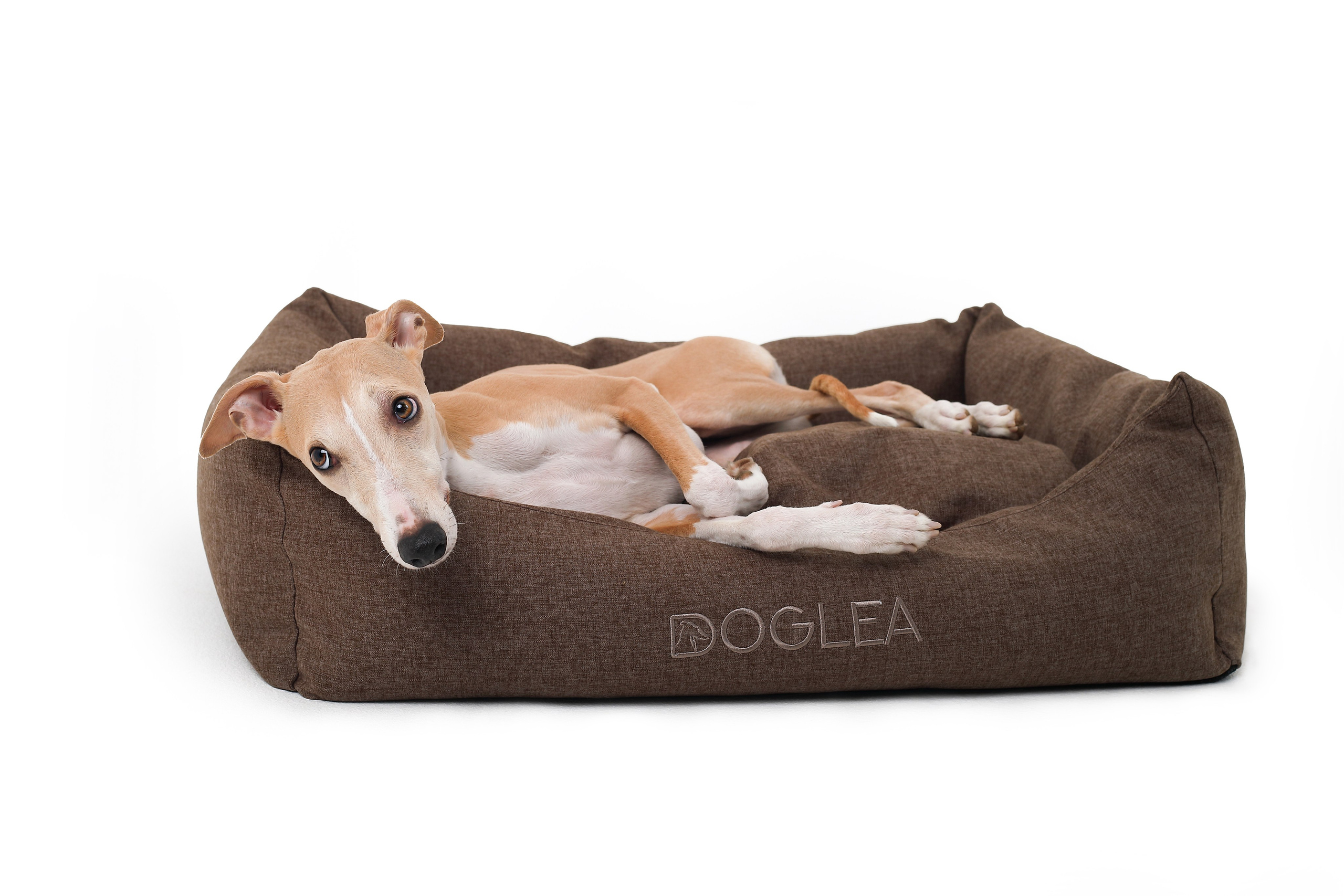 Для брендов. Фотограф- анималист Санкт-Петербург