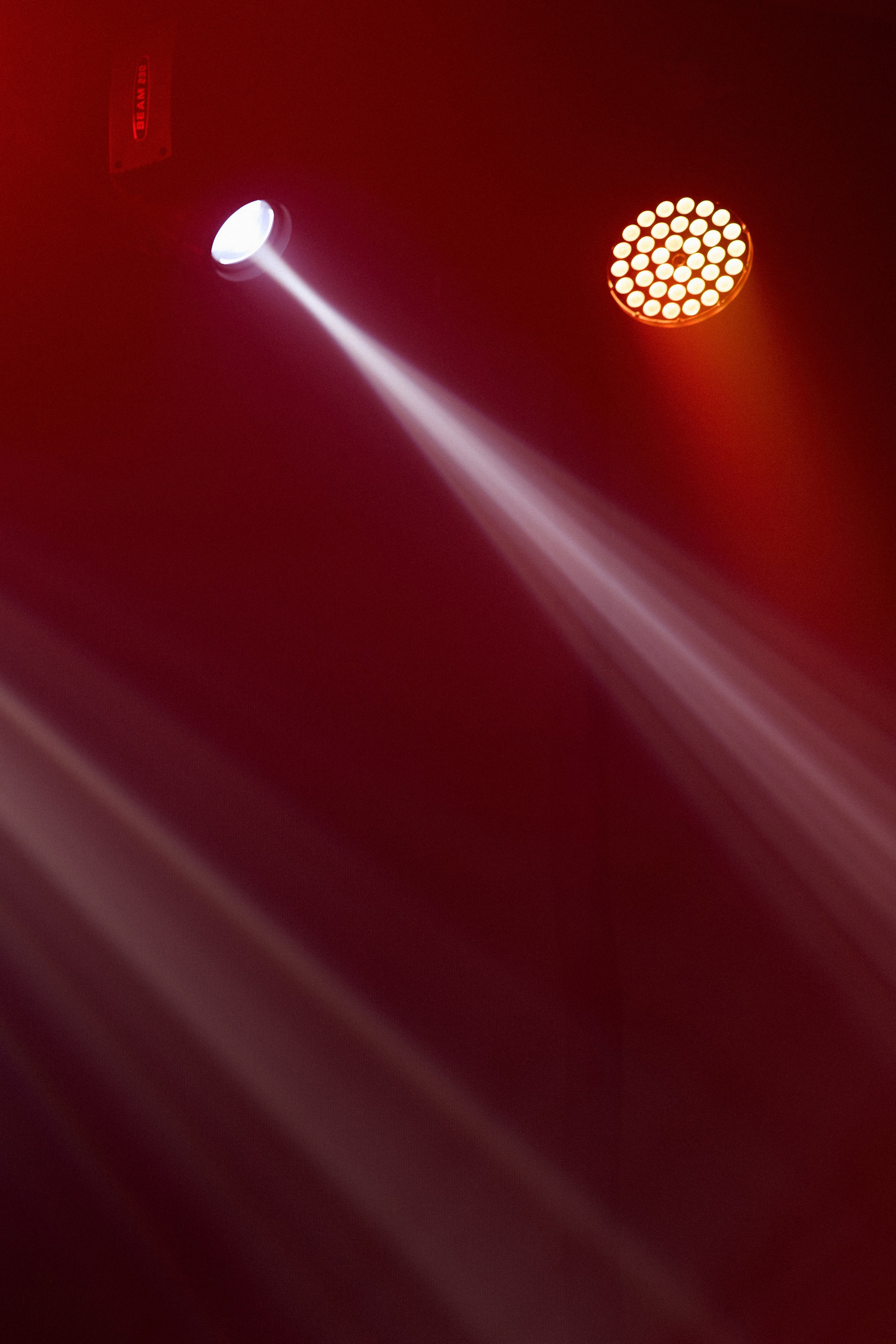 КОЧКА. Фотограф Айвазова Наталья Краснодар