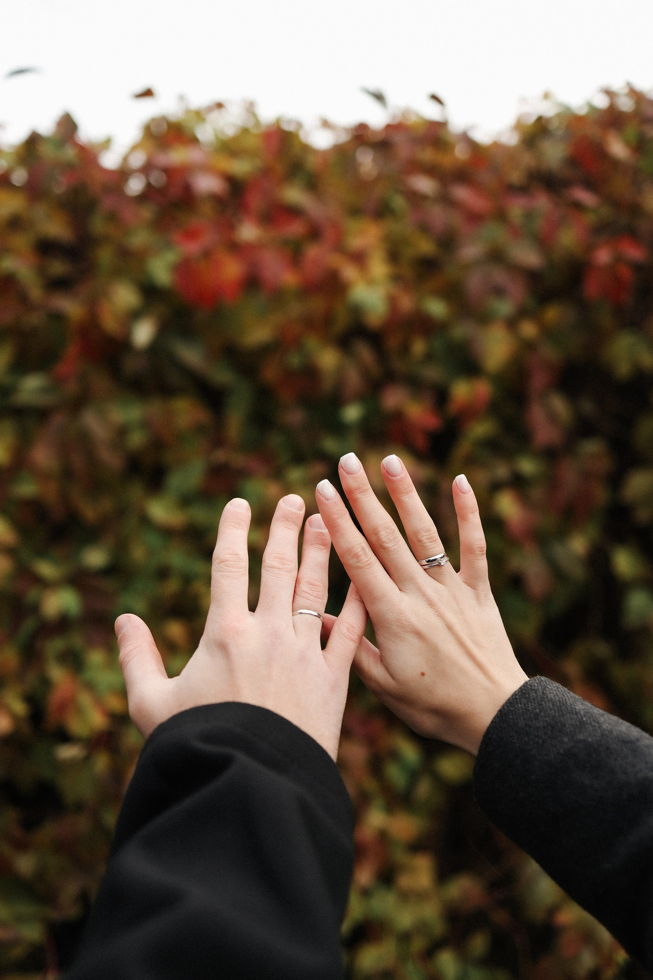 М. + В. Усадьба Кусково, Дворец бракосочетания № 3. Семейный и lovestory фотограф в Москве Светлана Коняхина