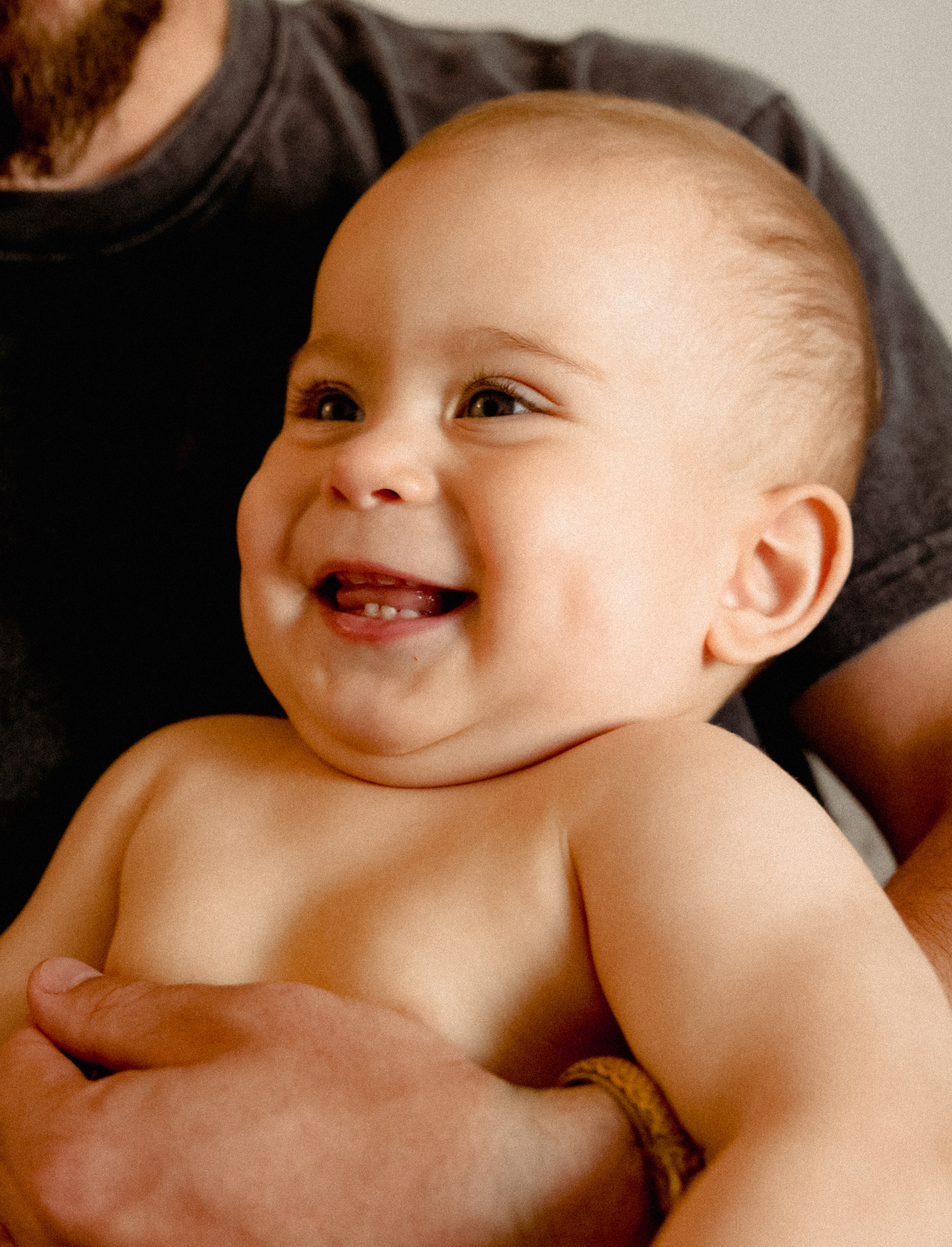 Домашняя история. Meryfotoidea