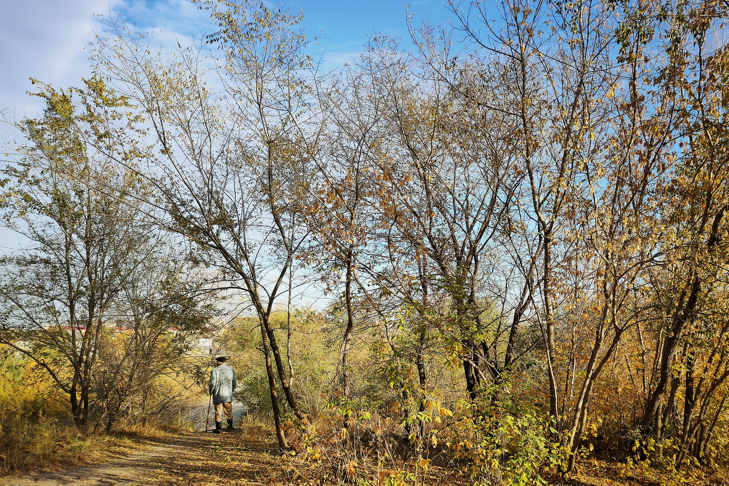 Улицы. Фотографии Марины Бурнашовой