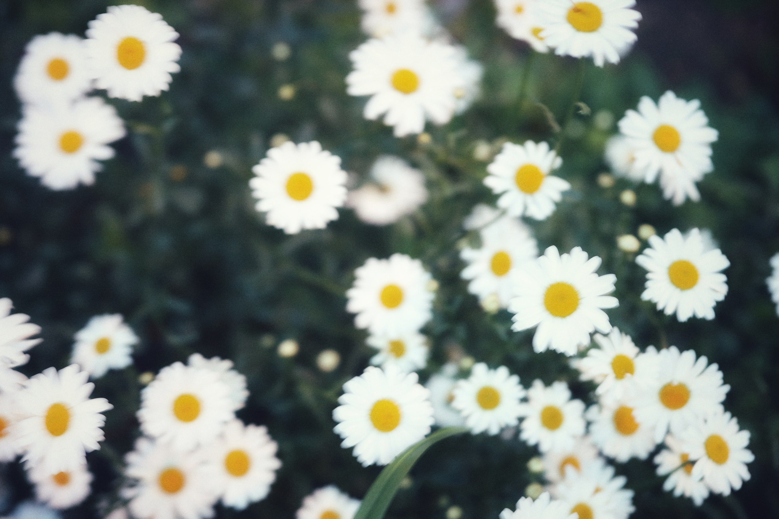 My beautiful days / Moscow 2024. POLINA MÔMOT