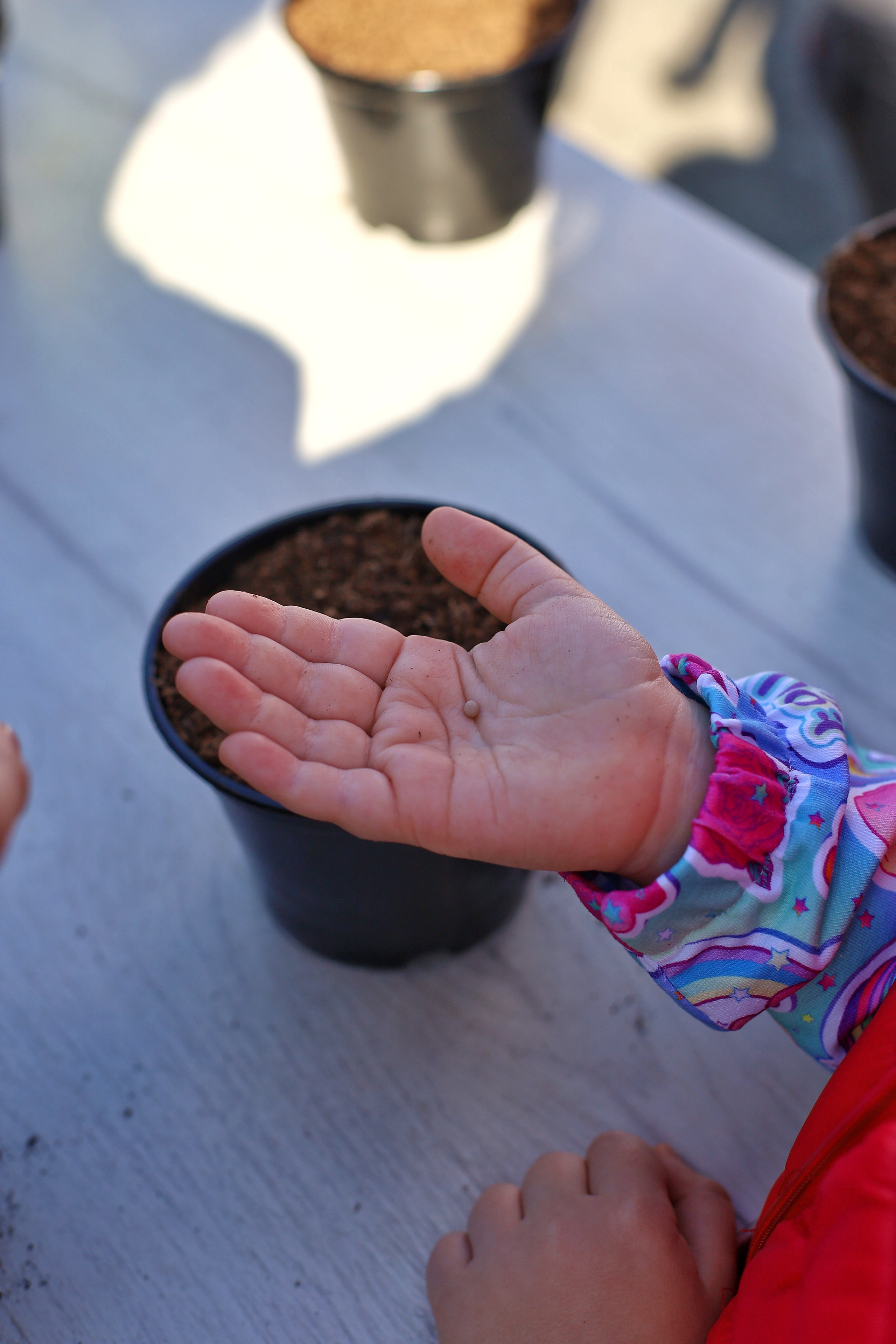 «Бедая Дача» корпоратив 14.10.23. Репортажный фотограф Анапа