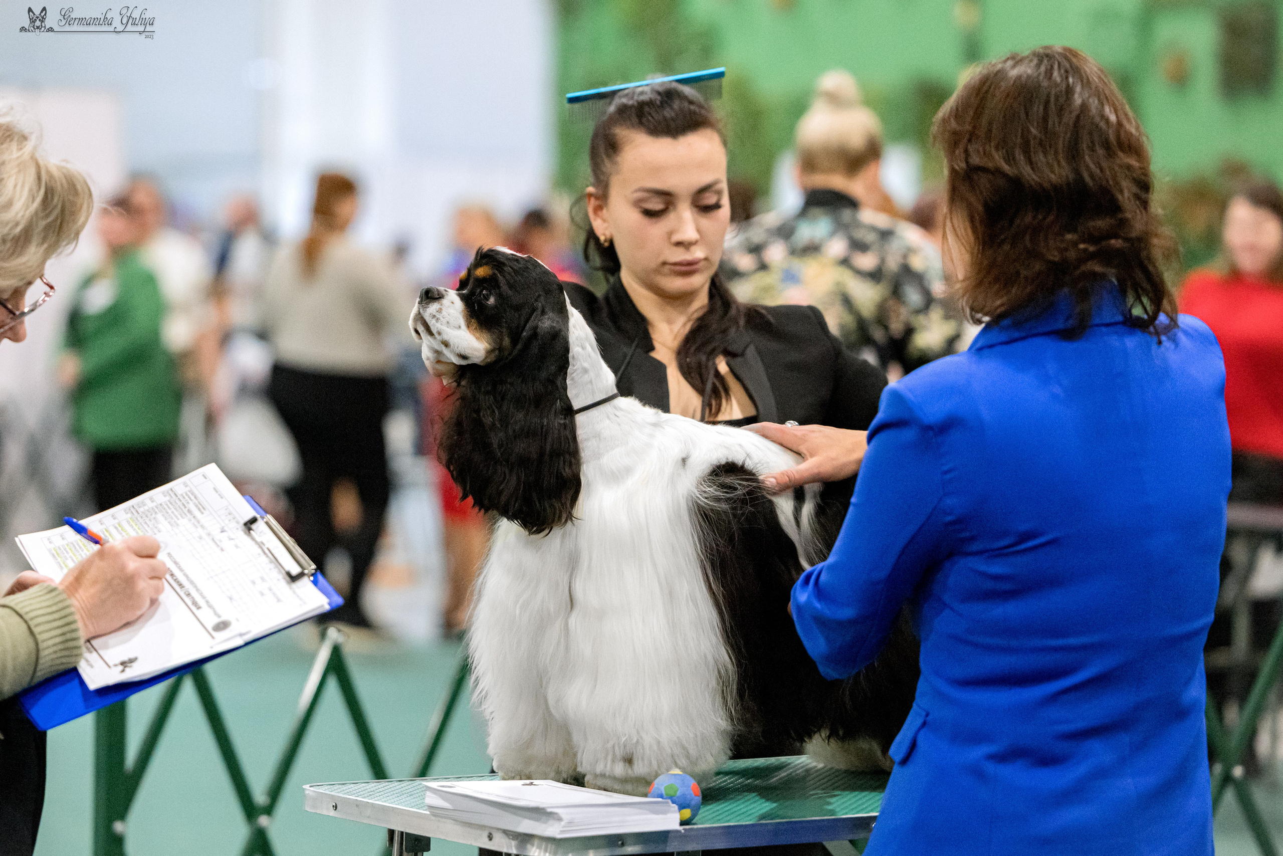 Сфера 29.10,Крокус 4.11,Сфера 12.11.2023. Фотограф-анималист Юлия Германика