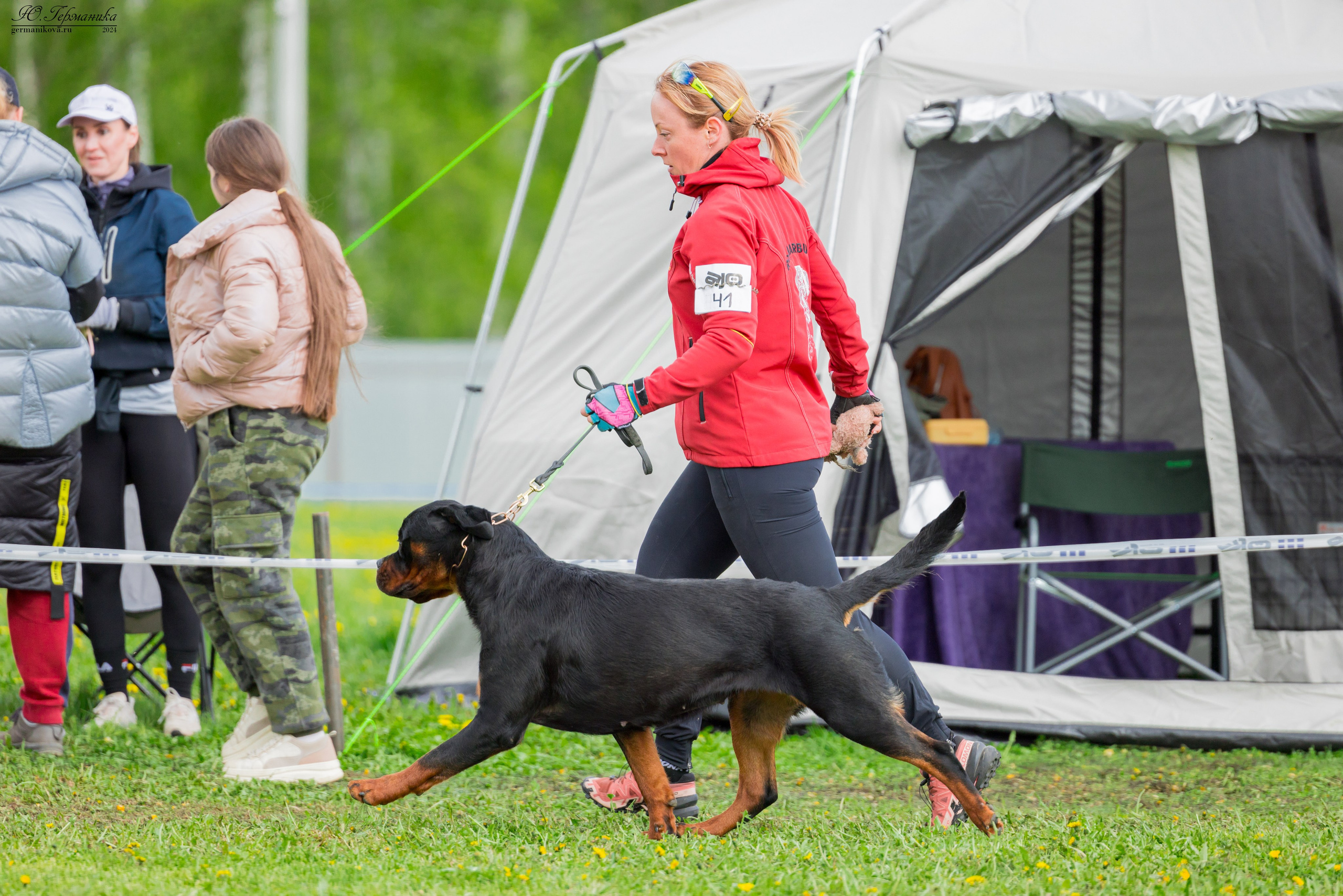 Нижний Новгород 11-12.05.2024 моно ротвейлеров. Фотограф-анималист Юлия Германика