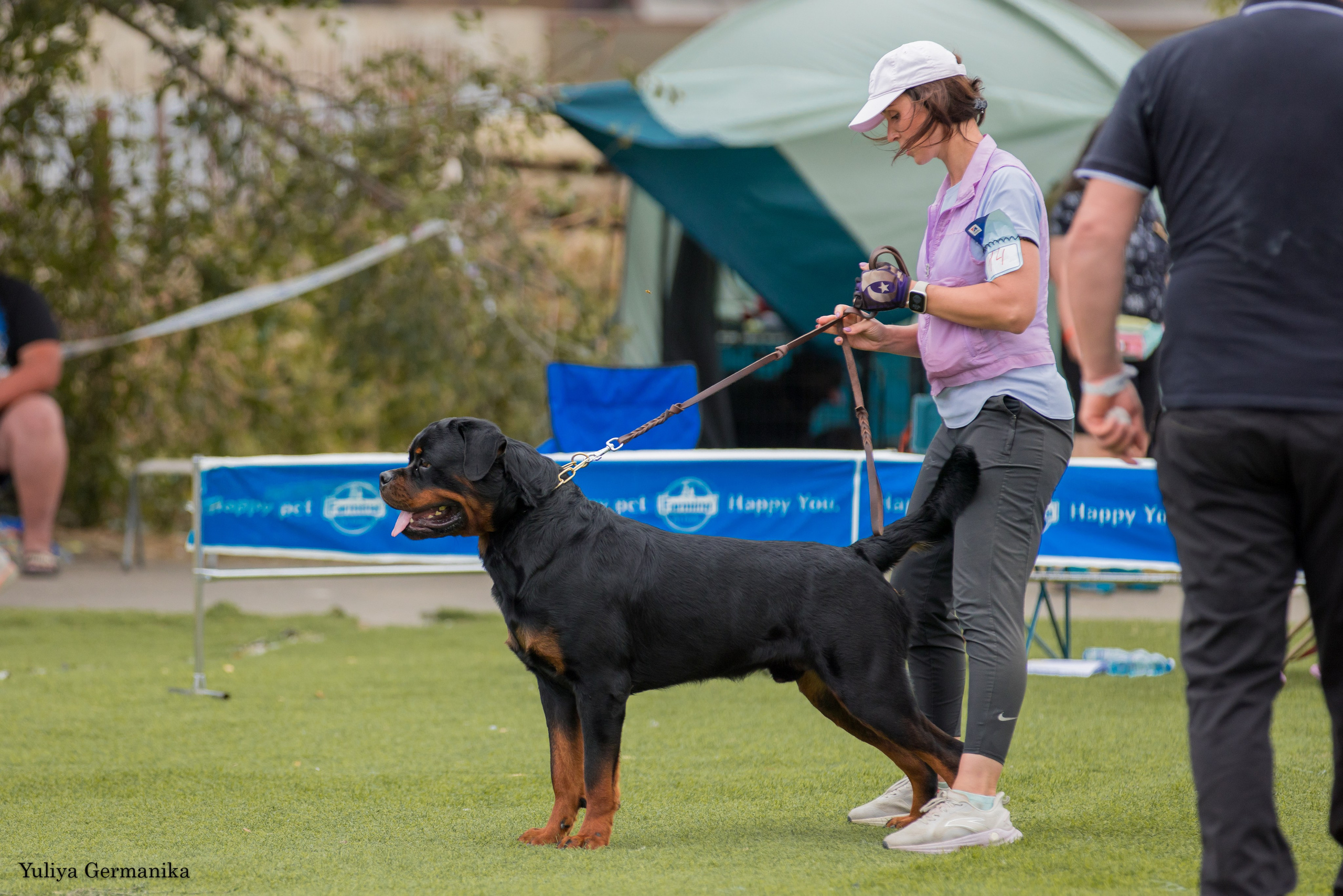 Анапа 16-17.09.2023 моно ротвейлеров. Фотограф-анималист Юлия Германика