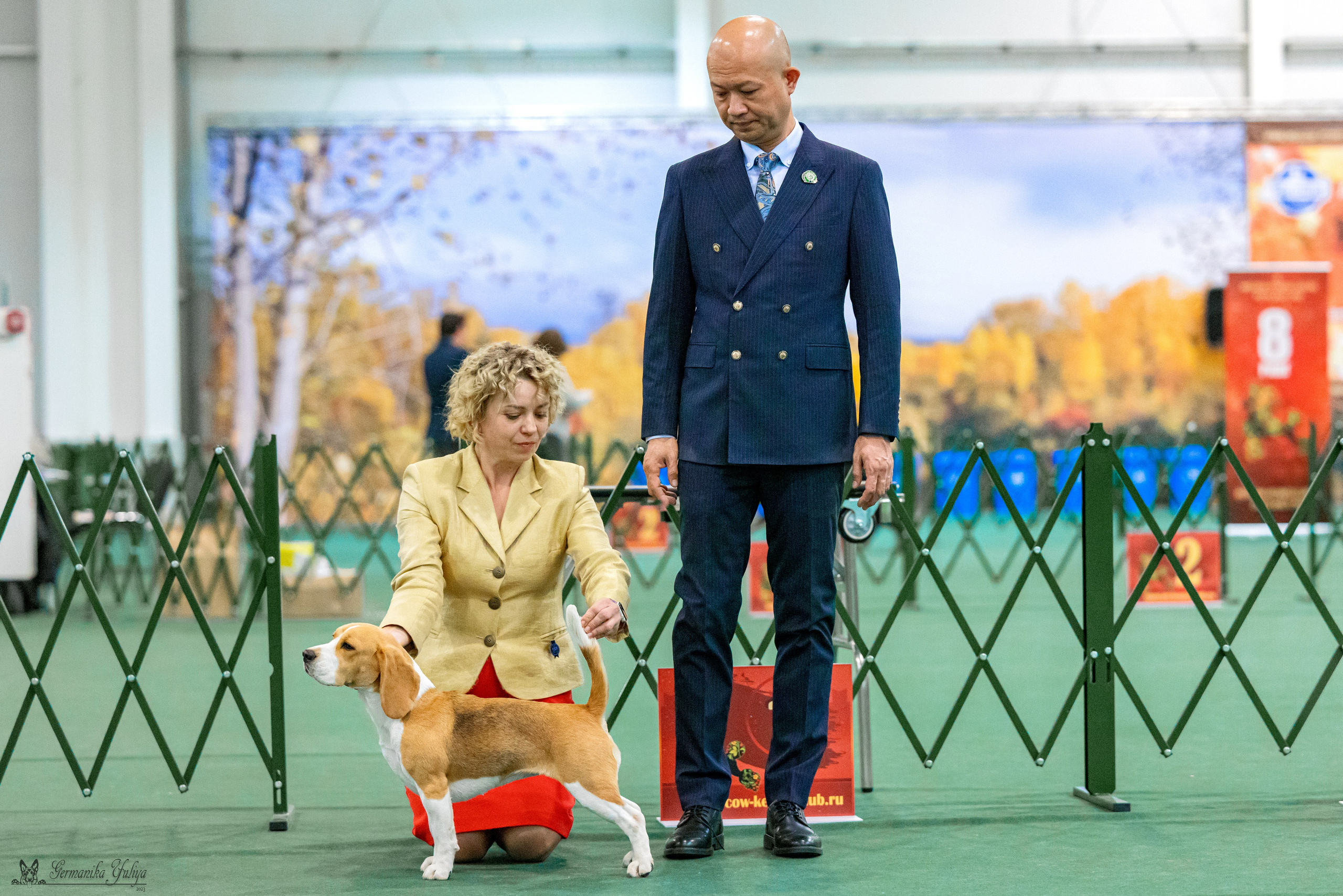 Сфера 29.10,Крокус 4.11,Сфера 12.11.2023. Фотограф-анималист Юлия Германика