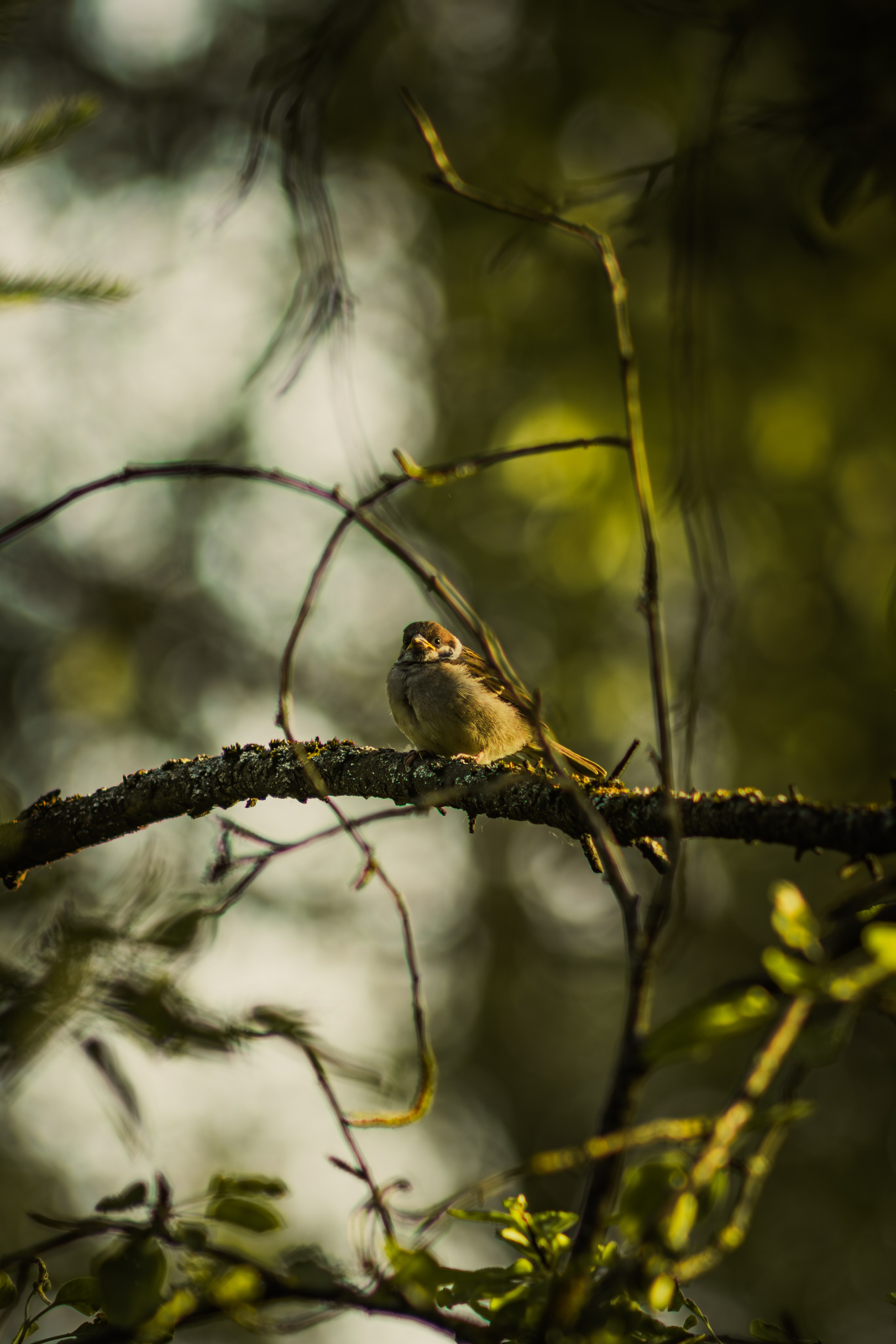 Без людей. Фотограф Крутой Максим