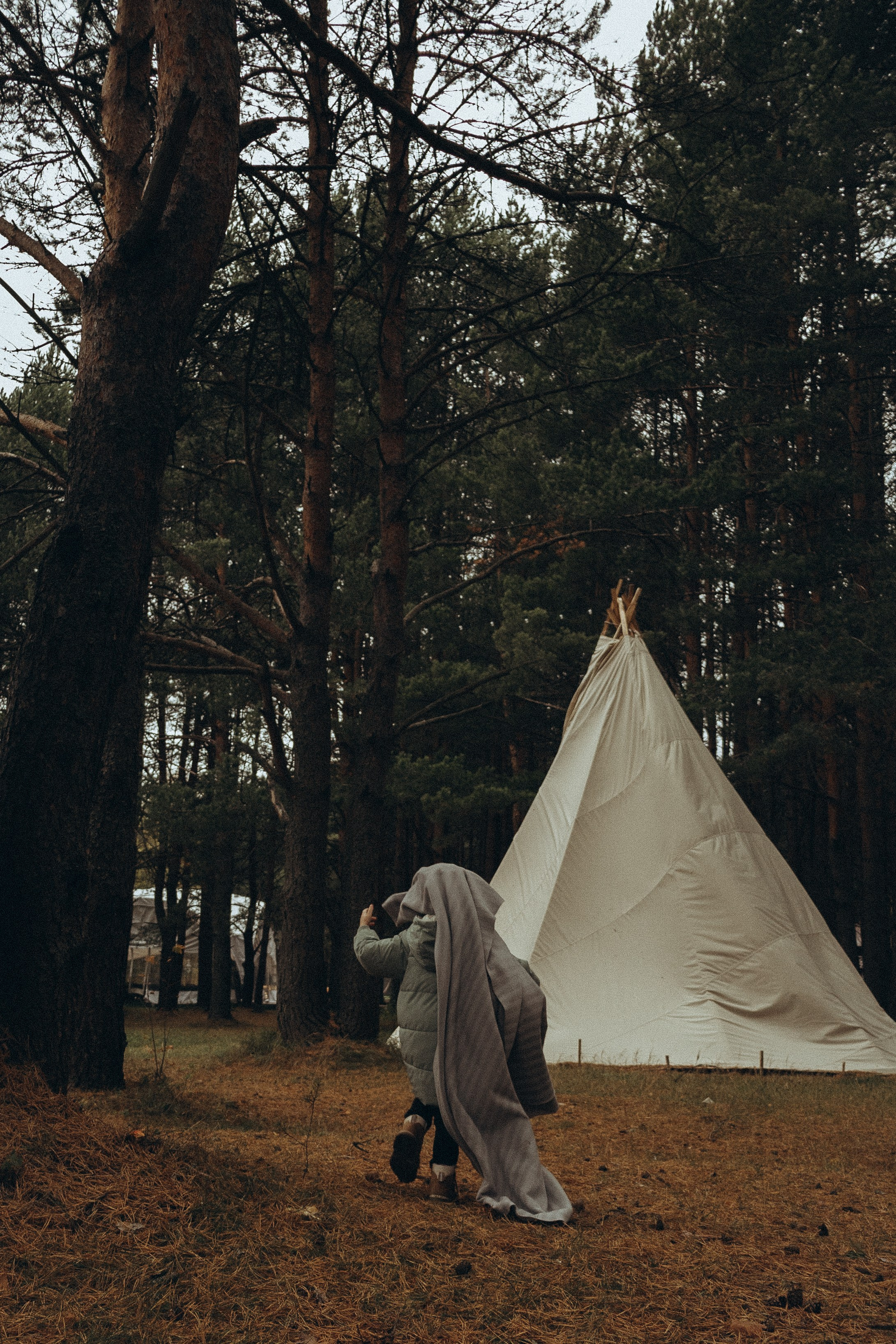 Осенний пикник. Фотограф Москва Алёна Суворова