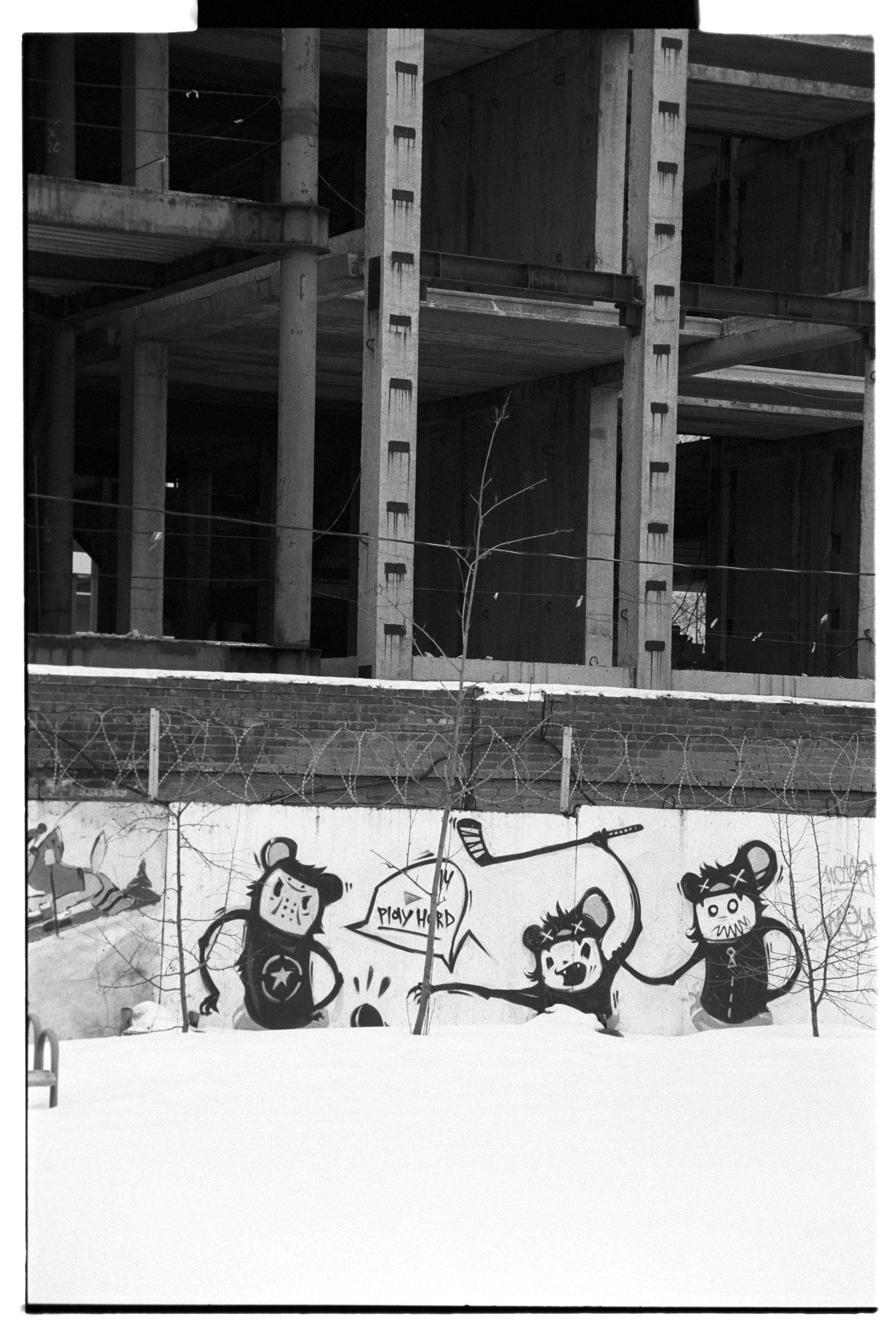 Белый. Фотограф в Санкт-Петербурге Березовский Даниил