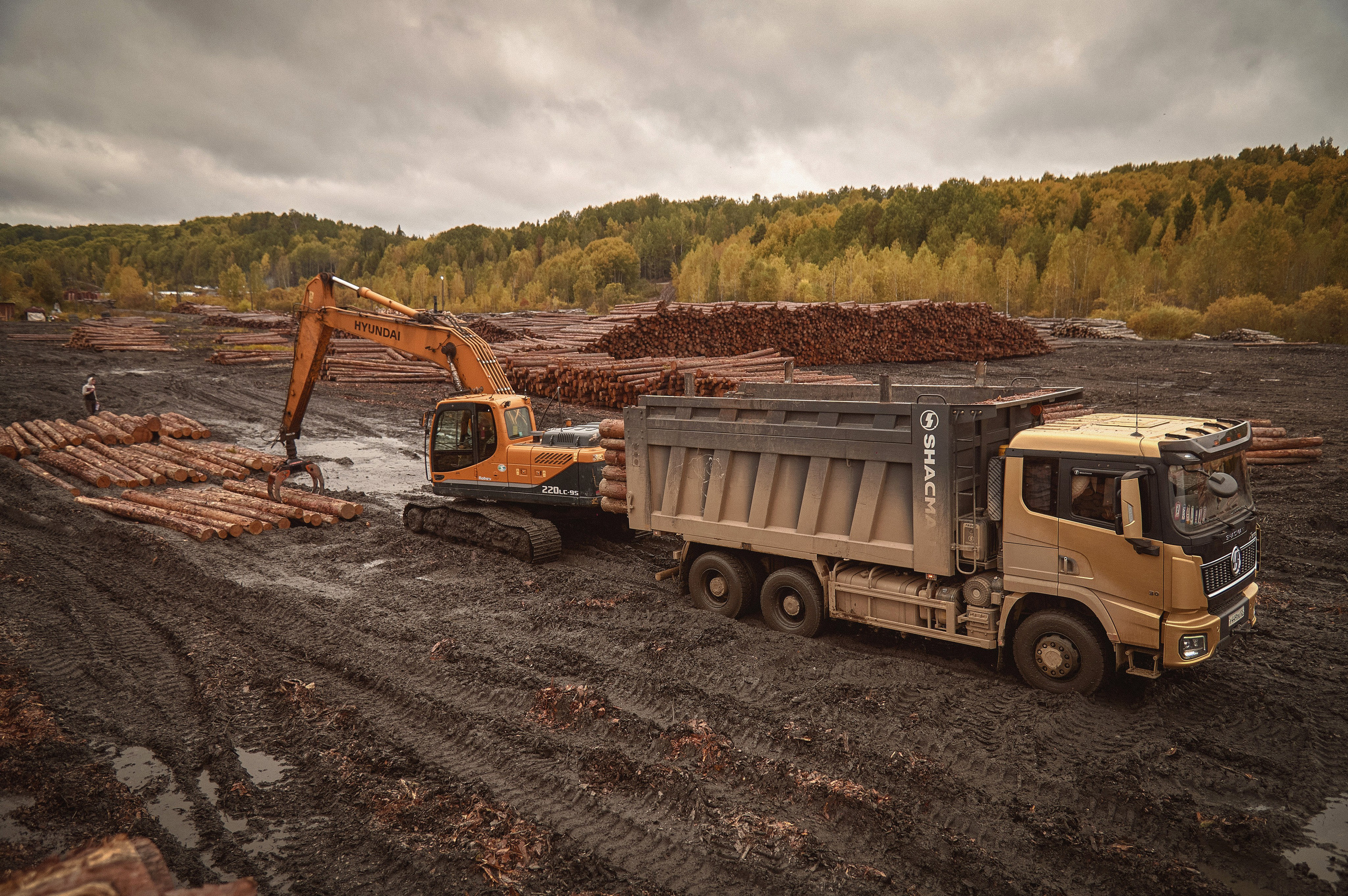 Лесозаготовка г. Мотыгино. Фотограф Яковлев Роман — Красноярск
