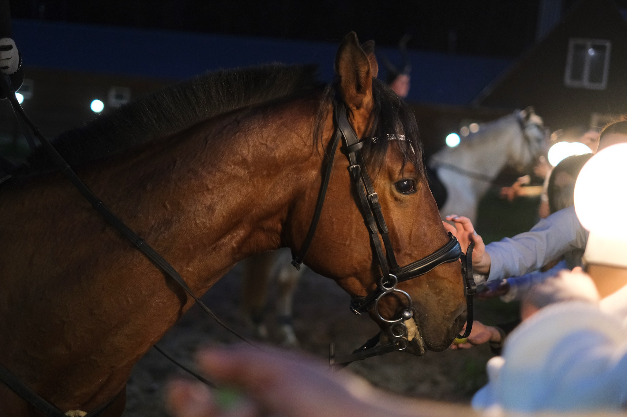 Тимофей и Вероника. Фотограф и видеограф в Москве Полина Абраменкова