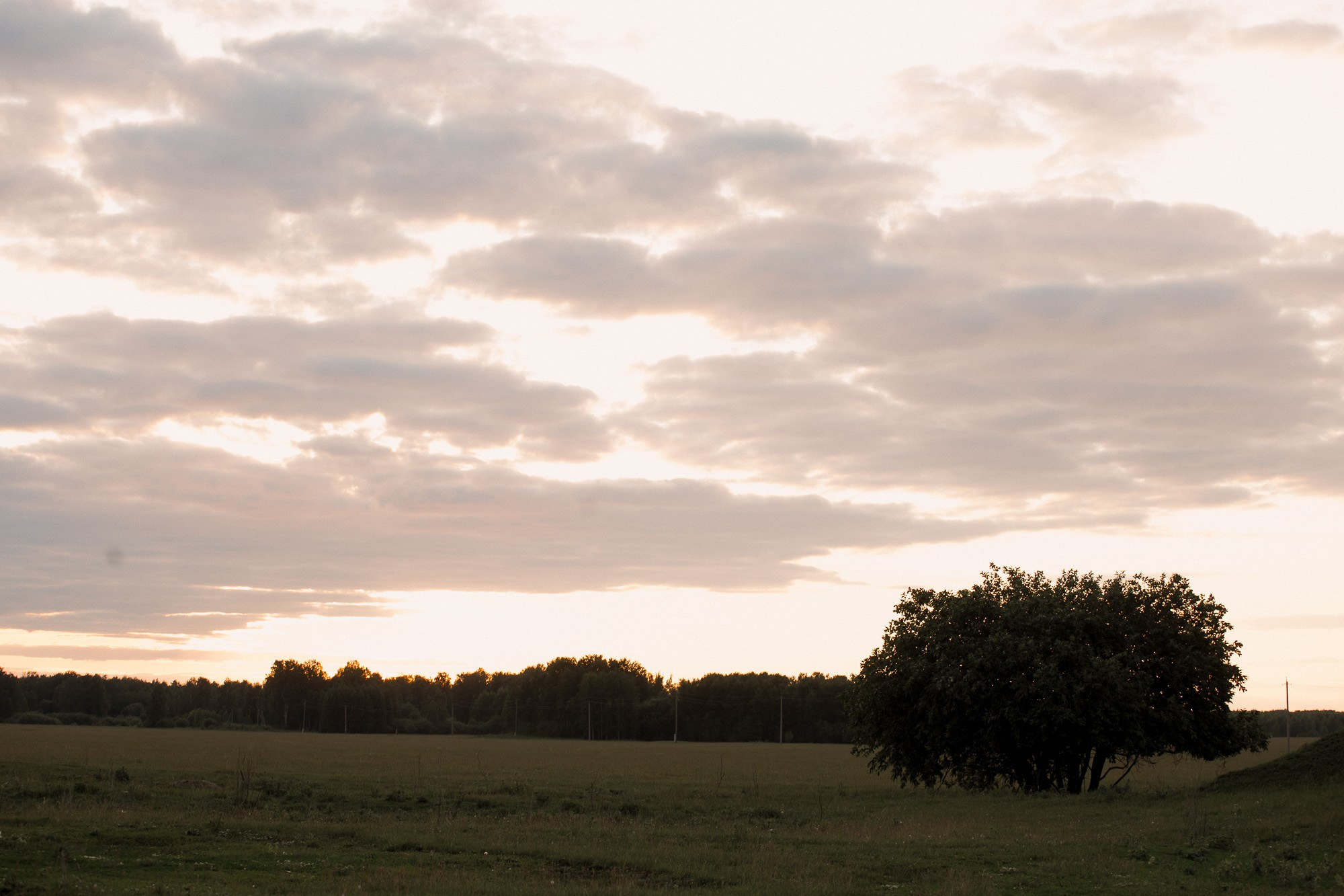 Алексей и Светлана. Свадебный и семейный фотограф в Челябинске