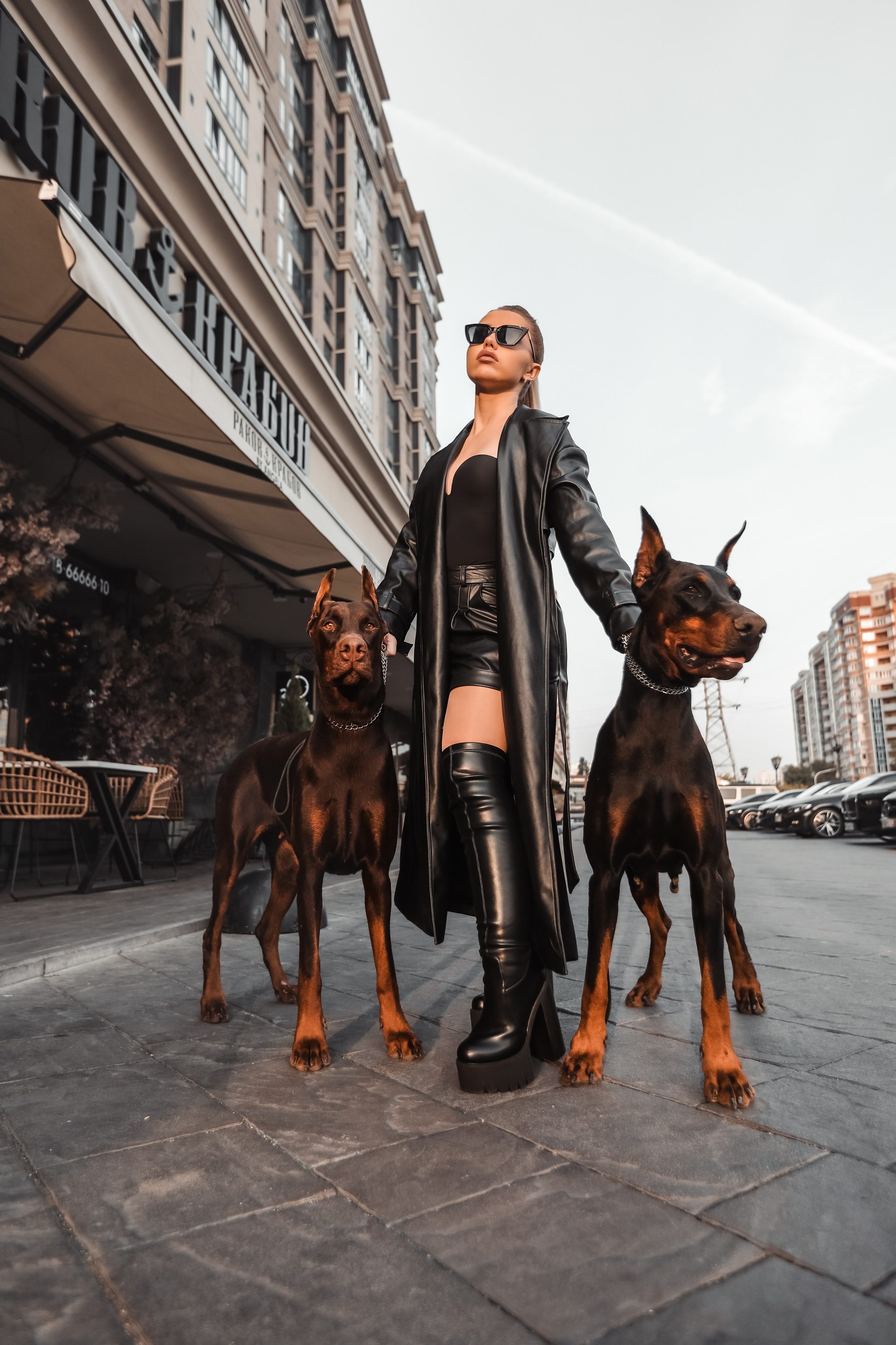 ПРОЕКТ «ДОБЕРМАНЫ». Photographer Viktoriya Markushina «My world throug»