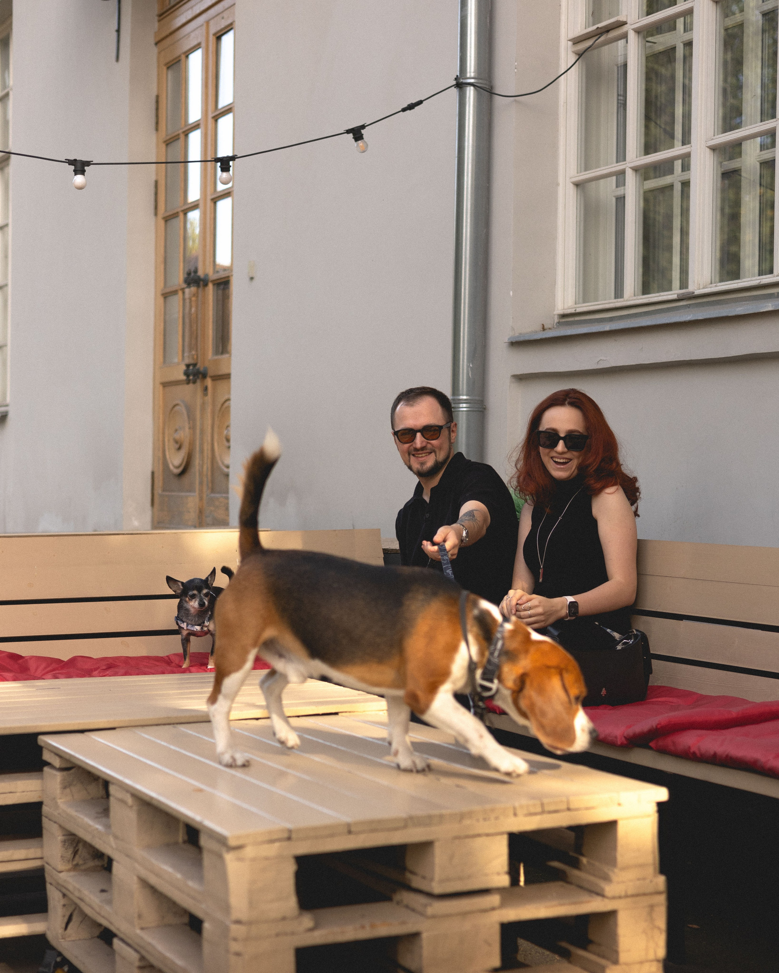 Вика & Давид. Фотограф Москва