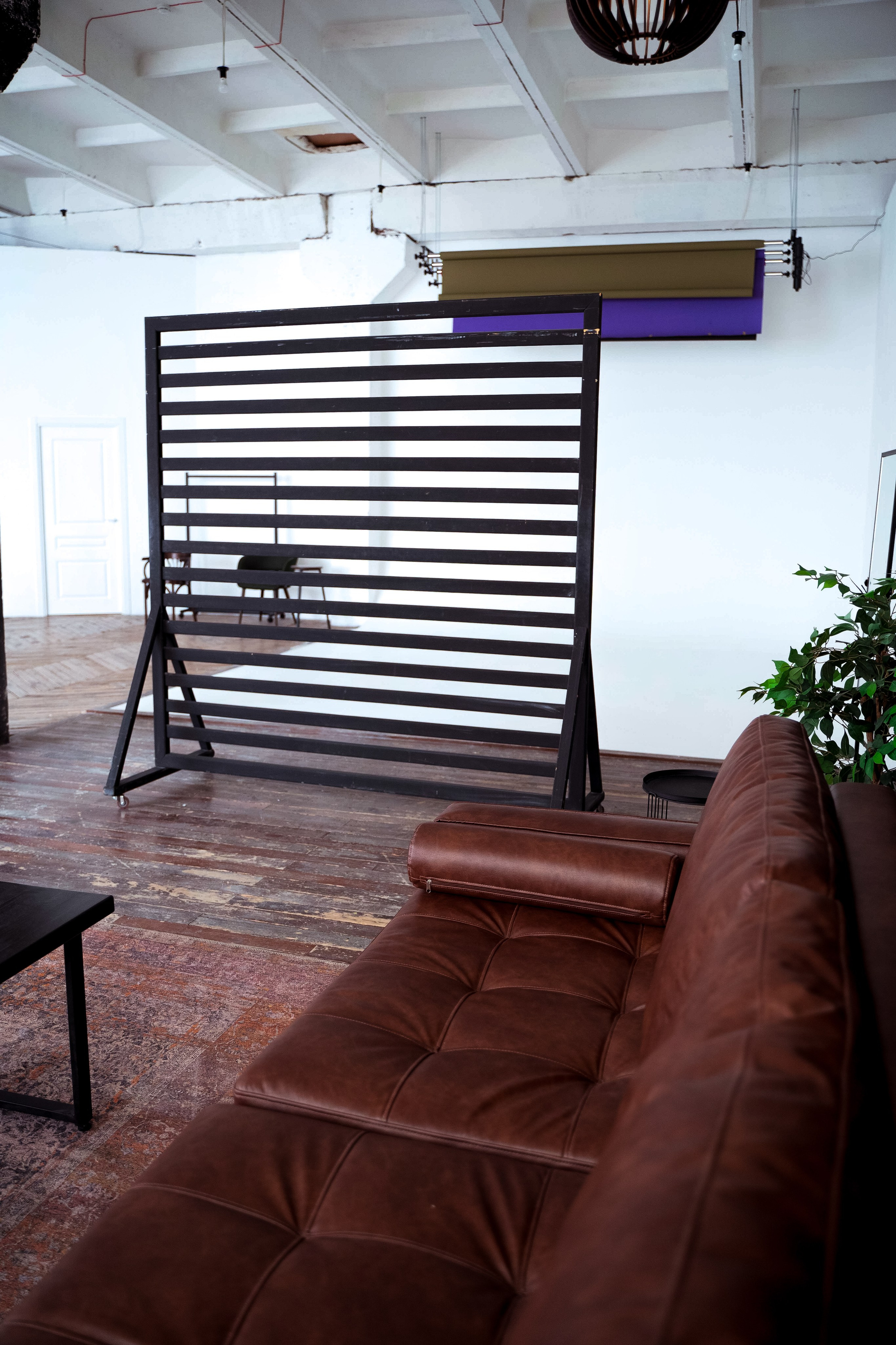 Браун (студия Спутник). Фотограф г. Хабаровск. Семейные и индивидуальные съёмки