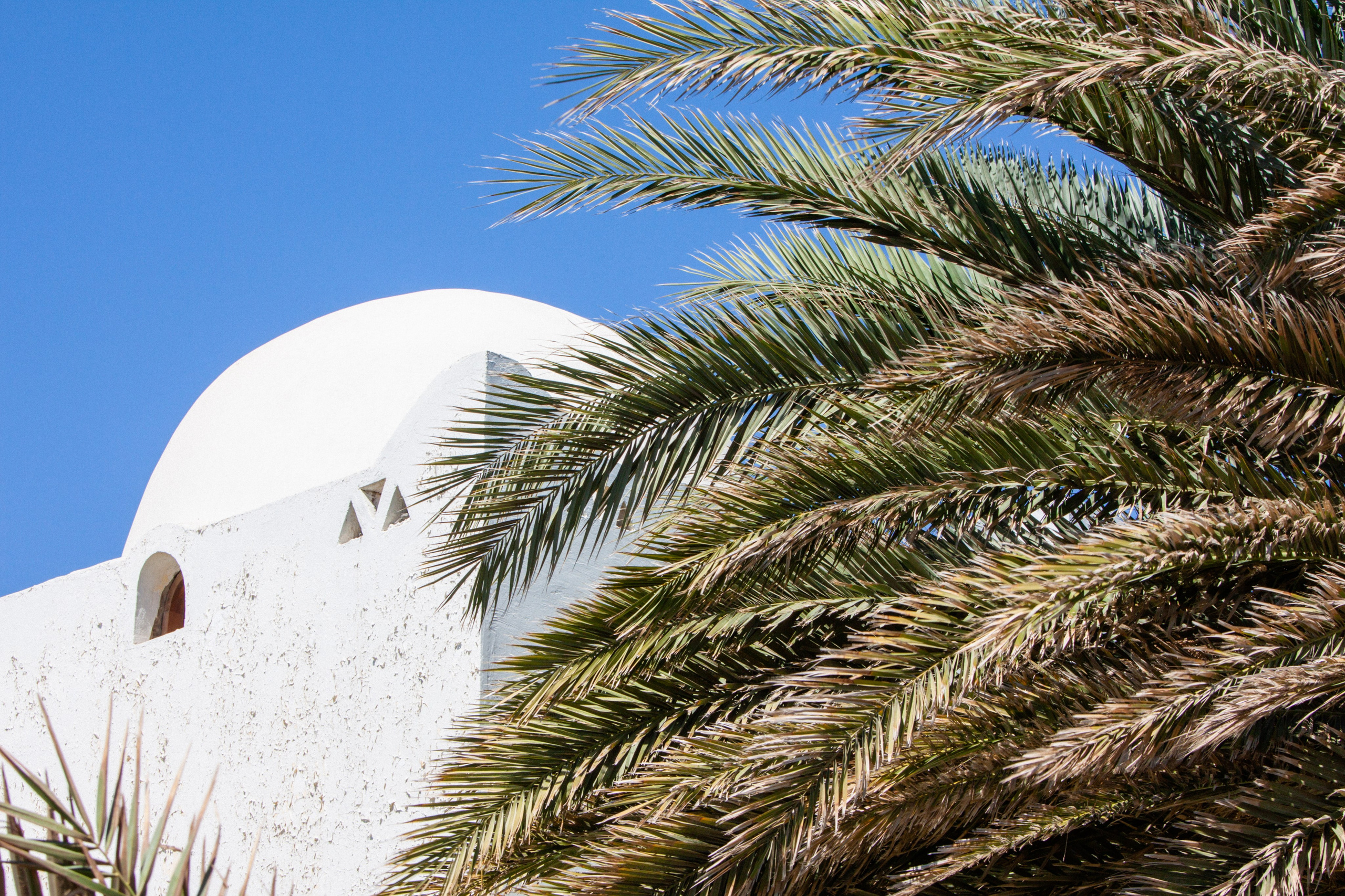 Дария Галямова — фотограф: открытый, творческий, коммерческий