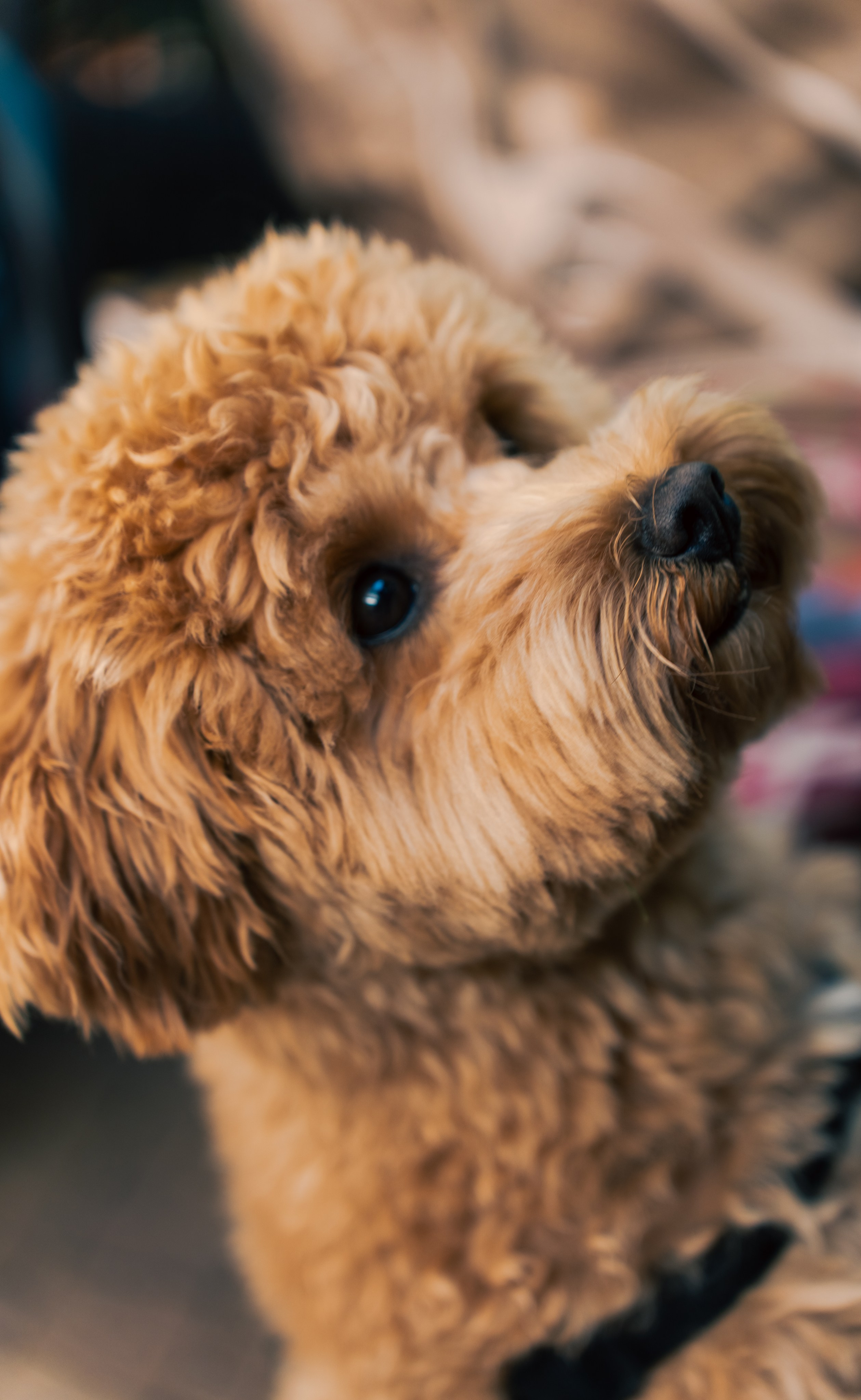 Прогулочная фотосессия с Аней в Сочи. Фотограф из Екатеринбурга Алена Мусалимова