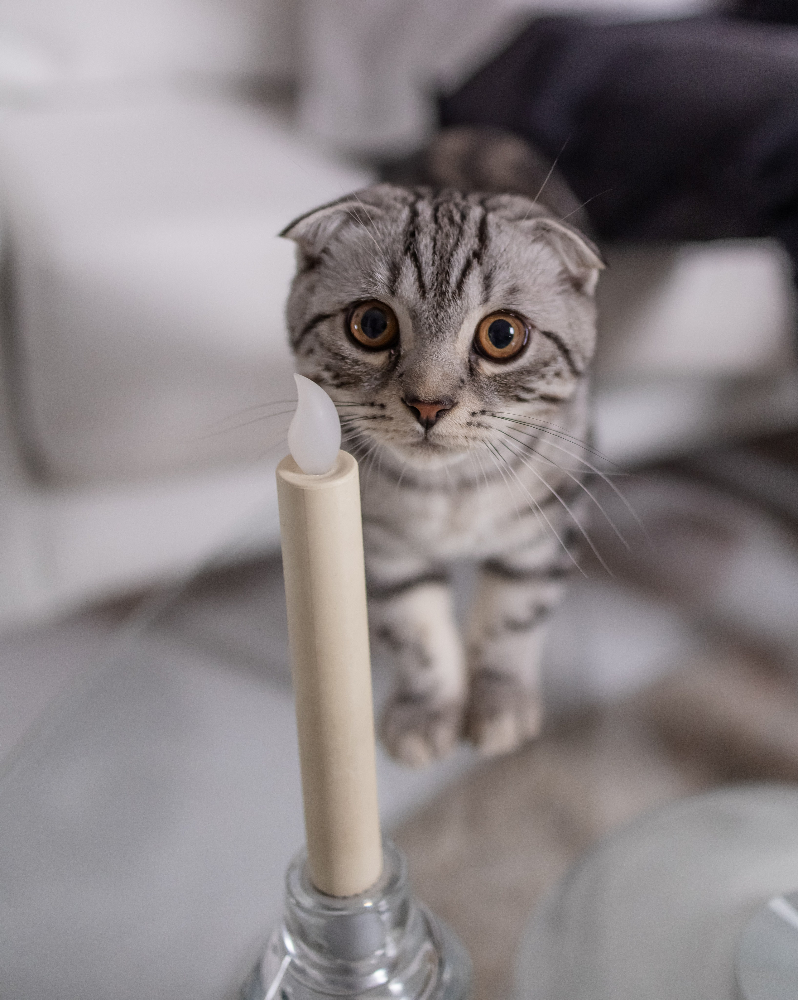 Family. KATERINA VINOKUROVA ФОТОГРАФ ПЕРМЬ
