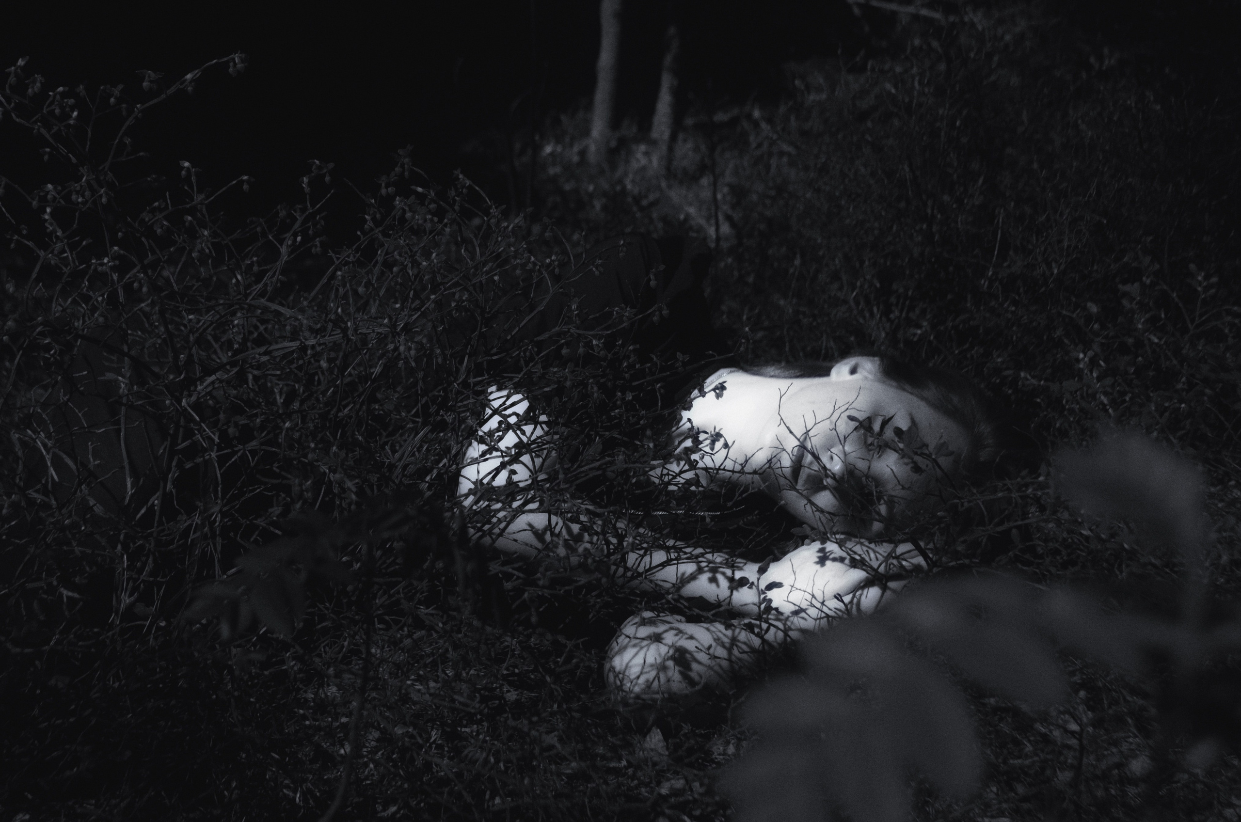 Индивидуальные съёмки. Wirinsens