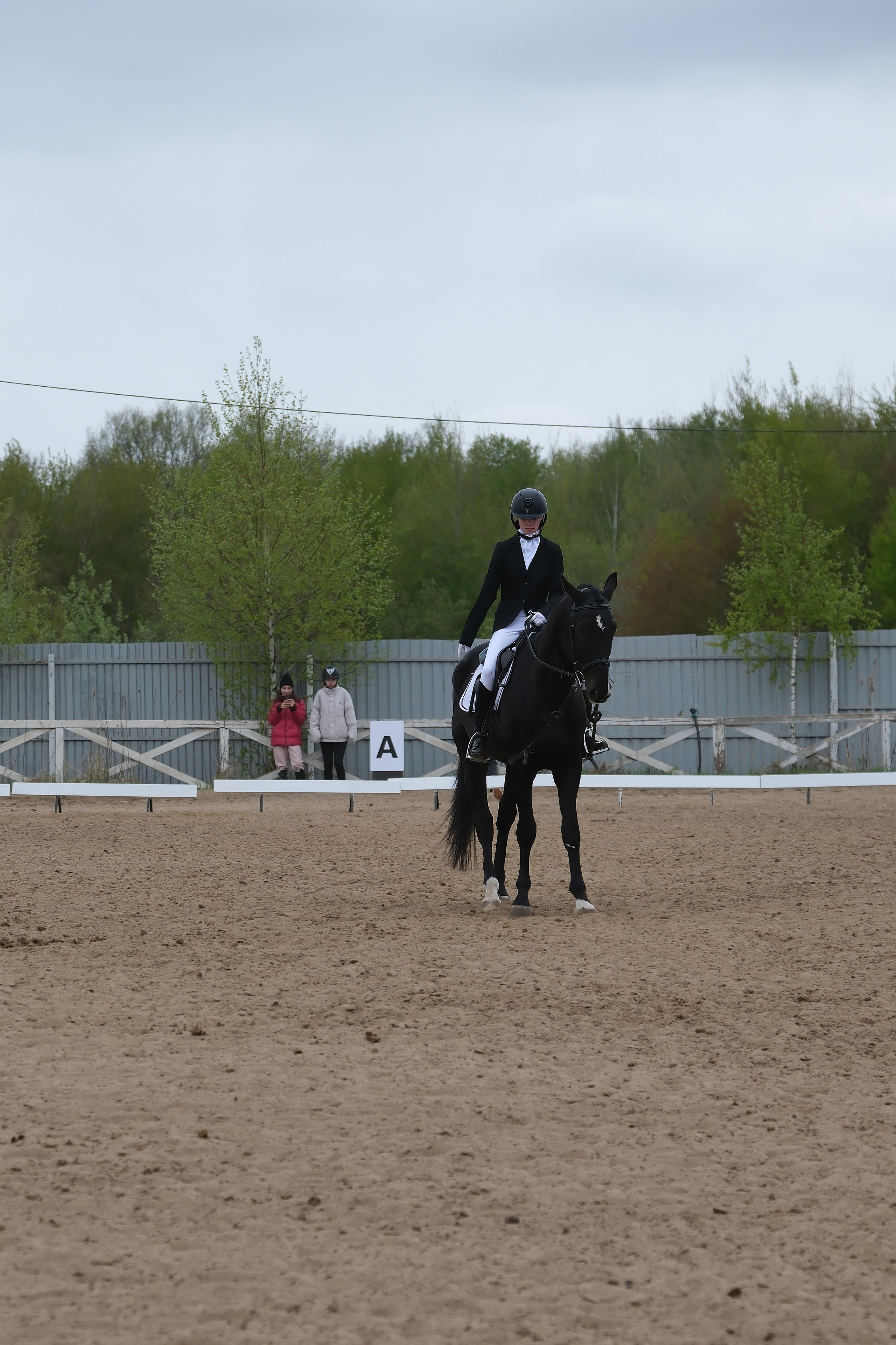 Соревнования по конному спорту в КСК «АЛЛЮР»!. Добро пожаловать в студию «Цифровой скульптор»  где искусство встречается с технологиями!
