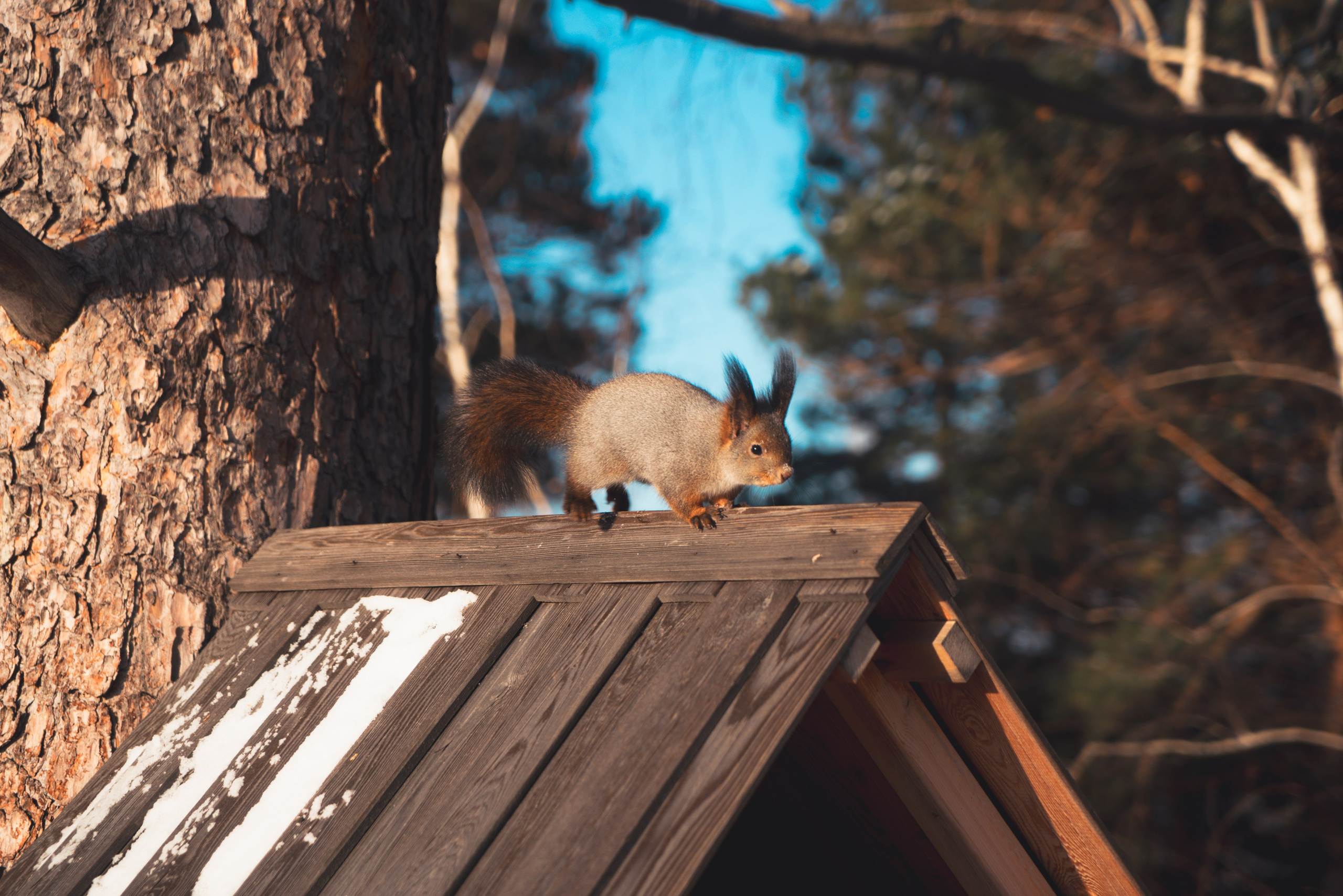 Красноярск и Дивногорск, Ноябрь 2023