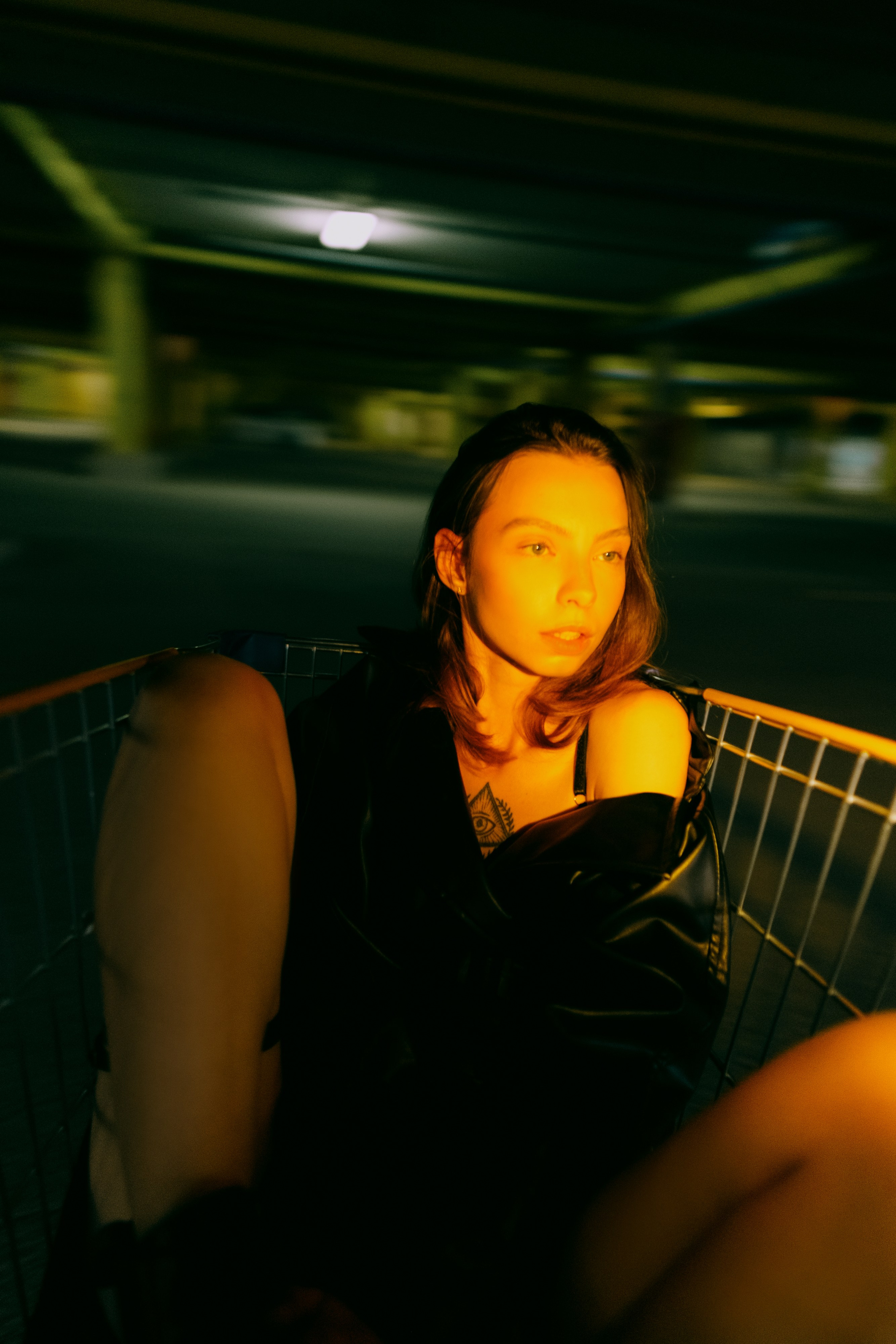 Анастасия. Дмитрий Пропадалин, Нейрофотография