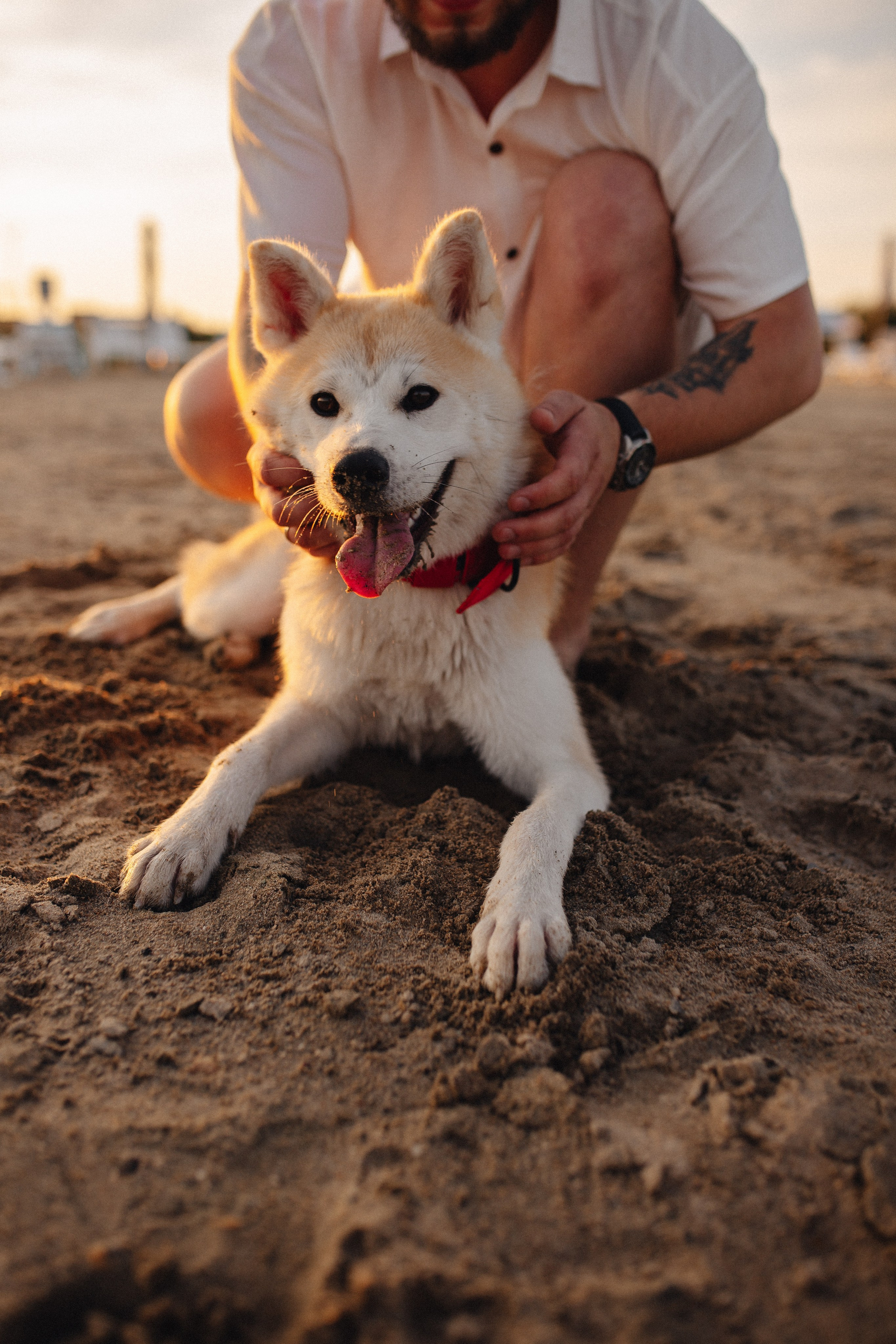 Летним вечером на пляже. Свадебный фотограф Новосибирск