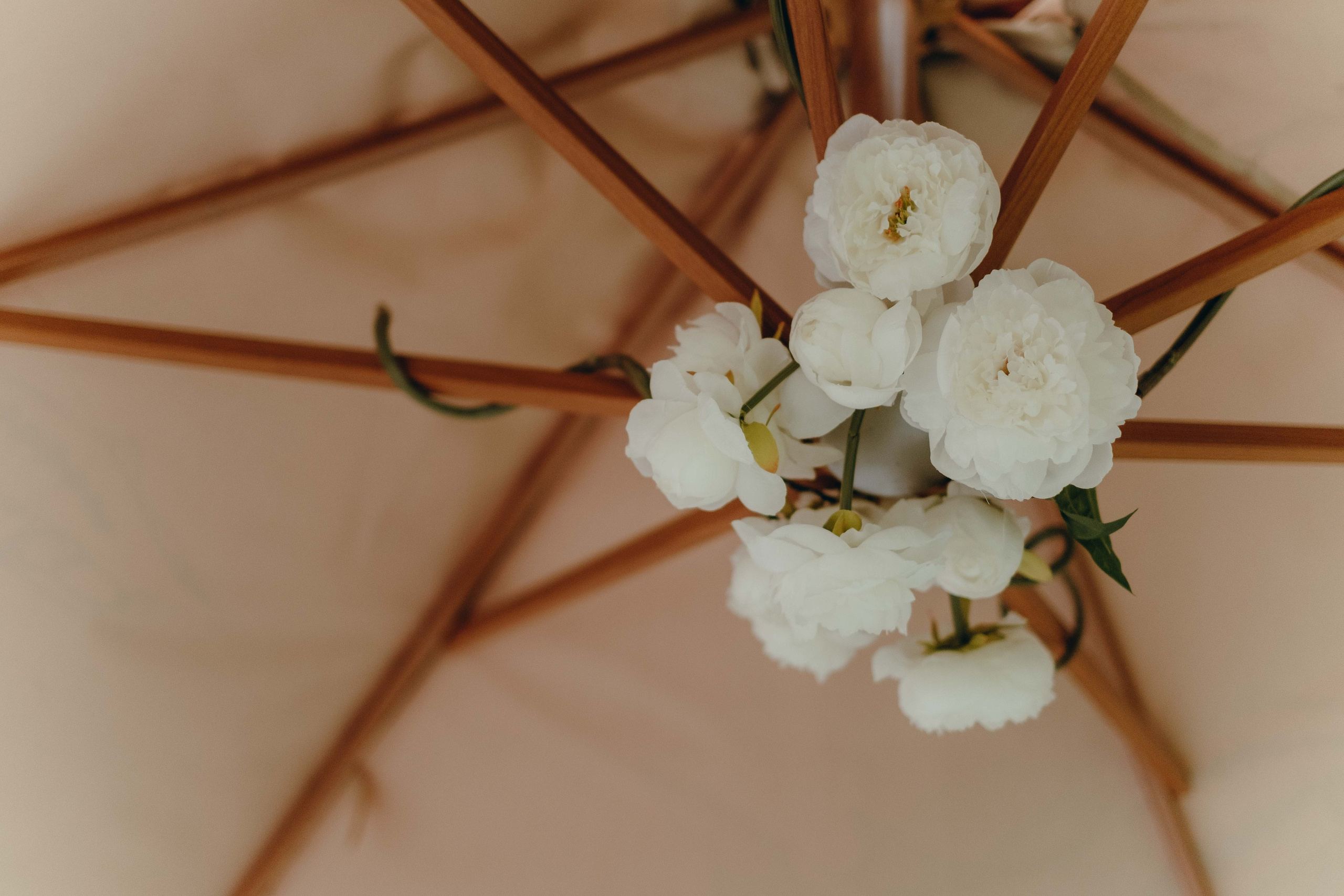 ECSTATIC WHITE 2025. Фотограф Аннё| Москва