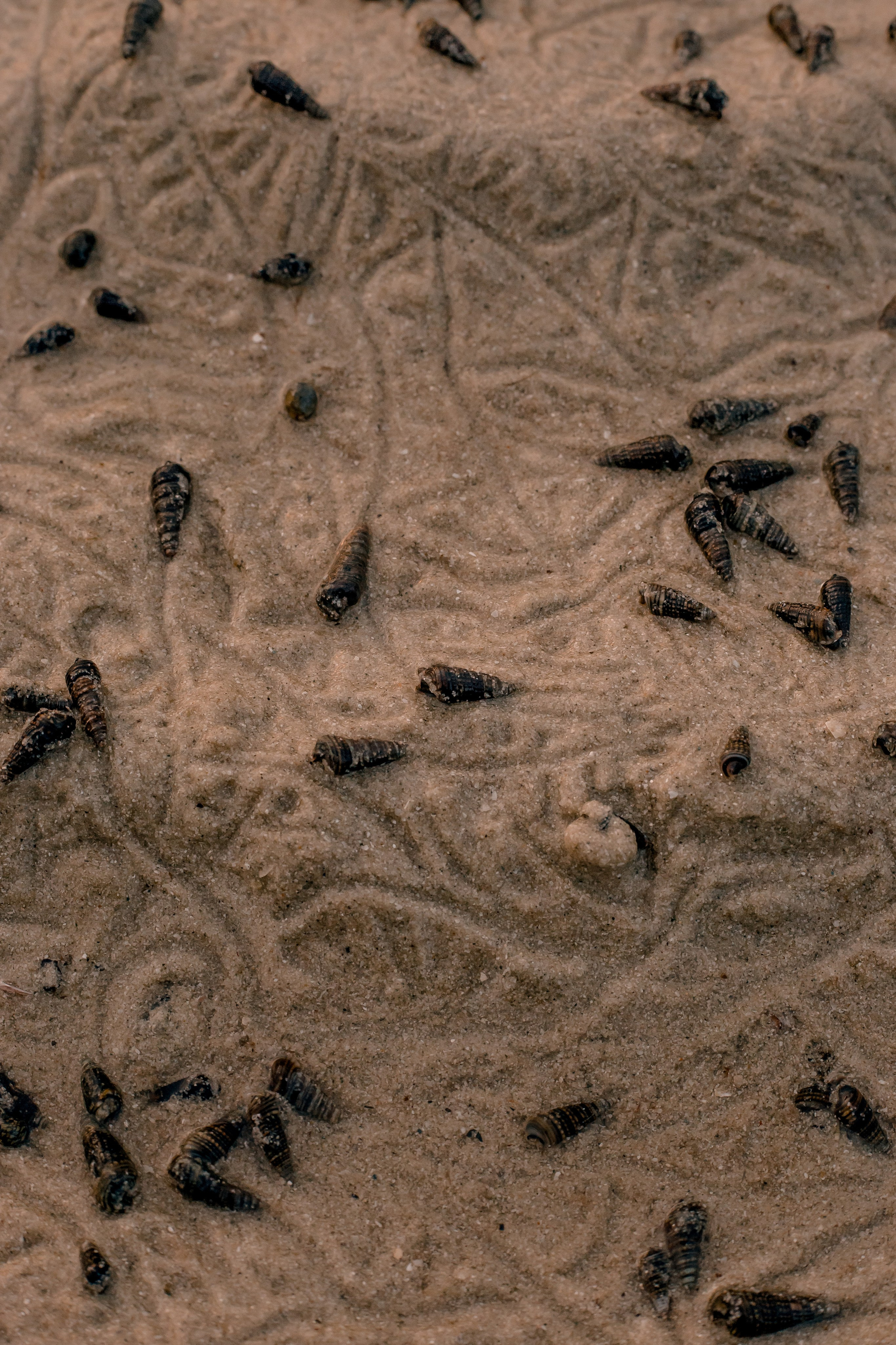 Thailand 2023, Samui. Art Photographer