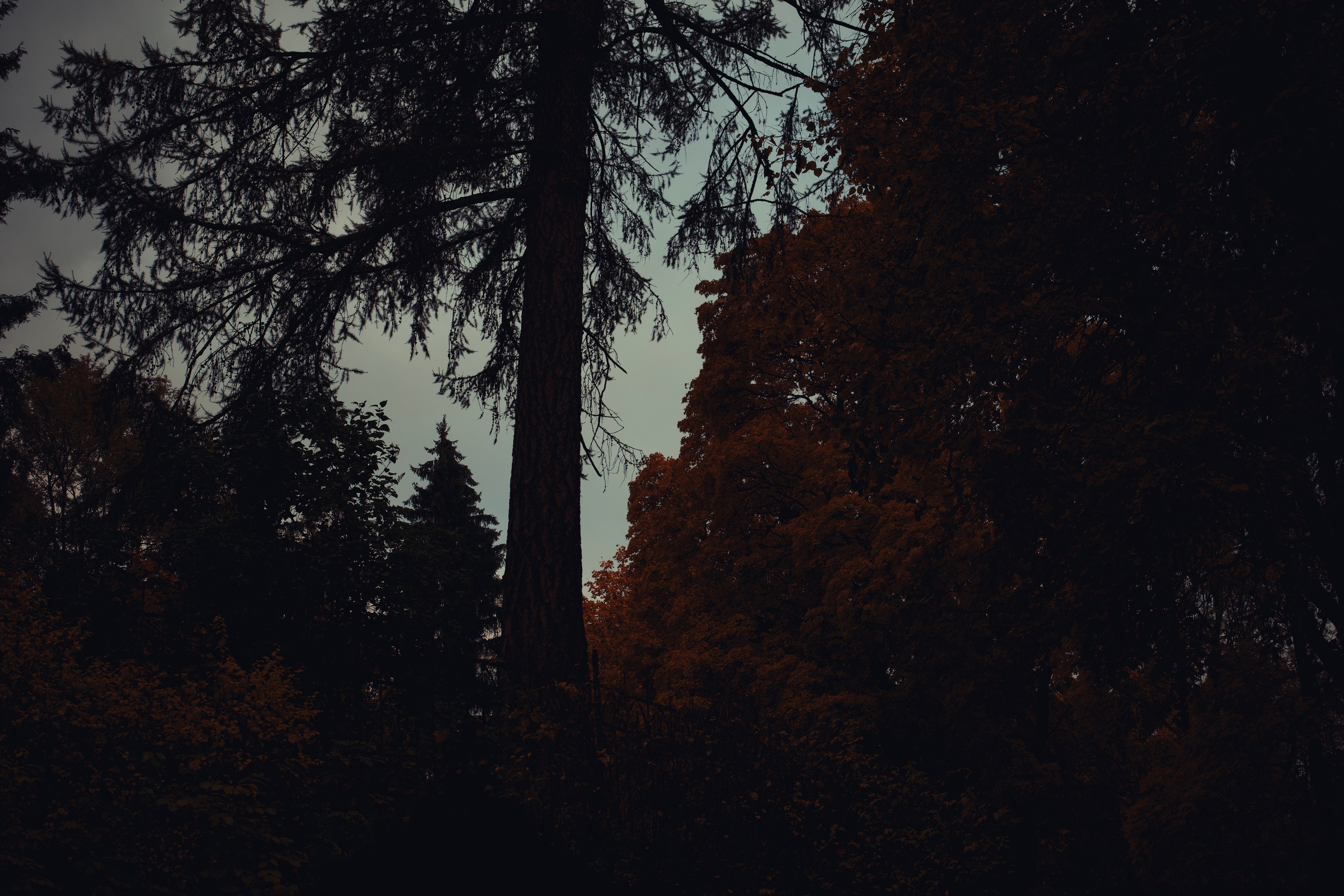 Портфолио. Ваагн Малхасян | Фотограф | Санкт-Петербург. Создаю атмосферные кадры