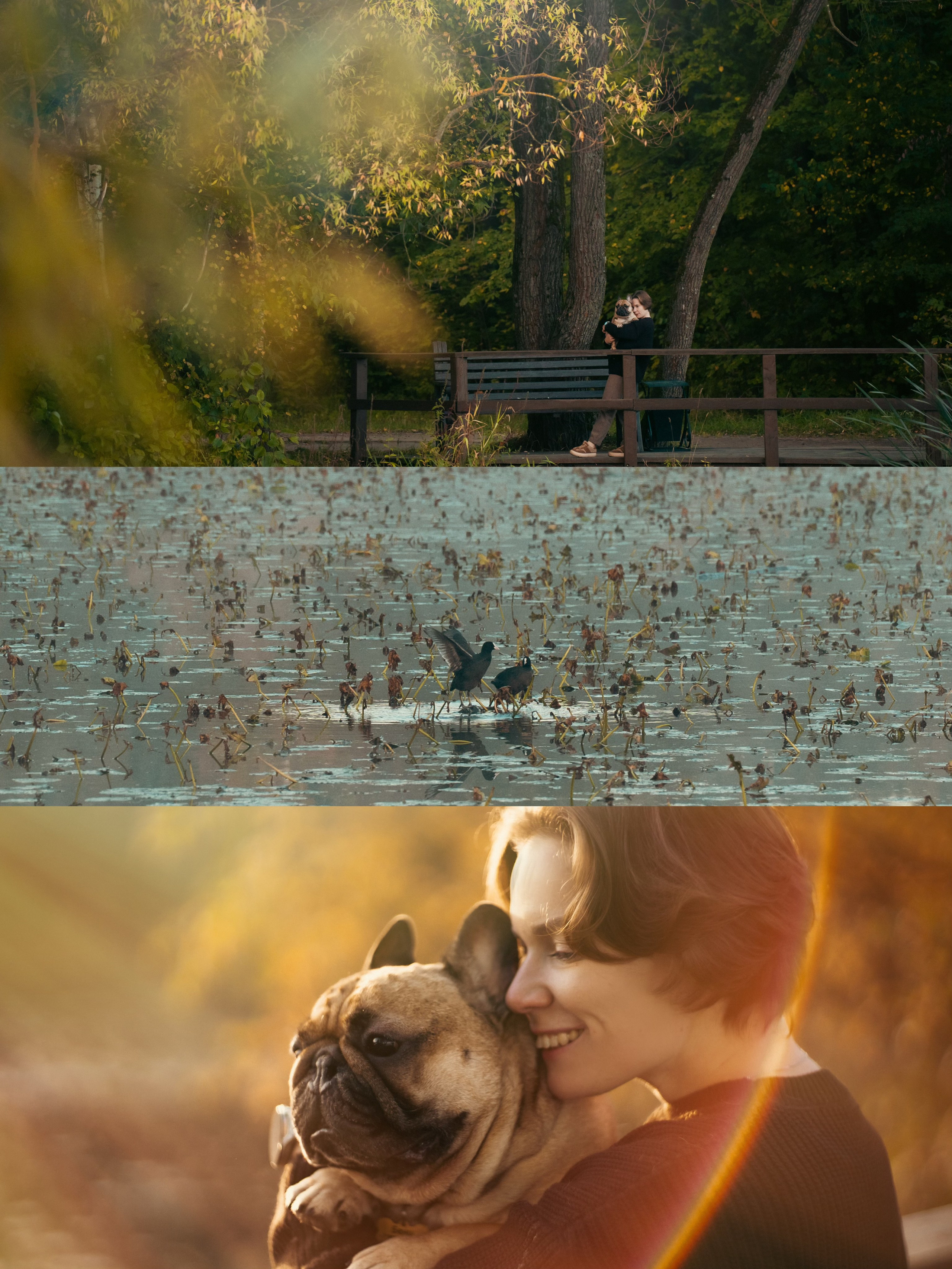 Анастасия и Бенц. Фотограф анималист в Москве и Санкт-Петербурге Свиридова Анна