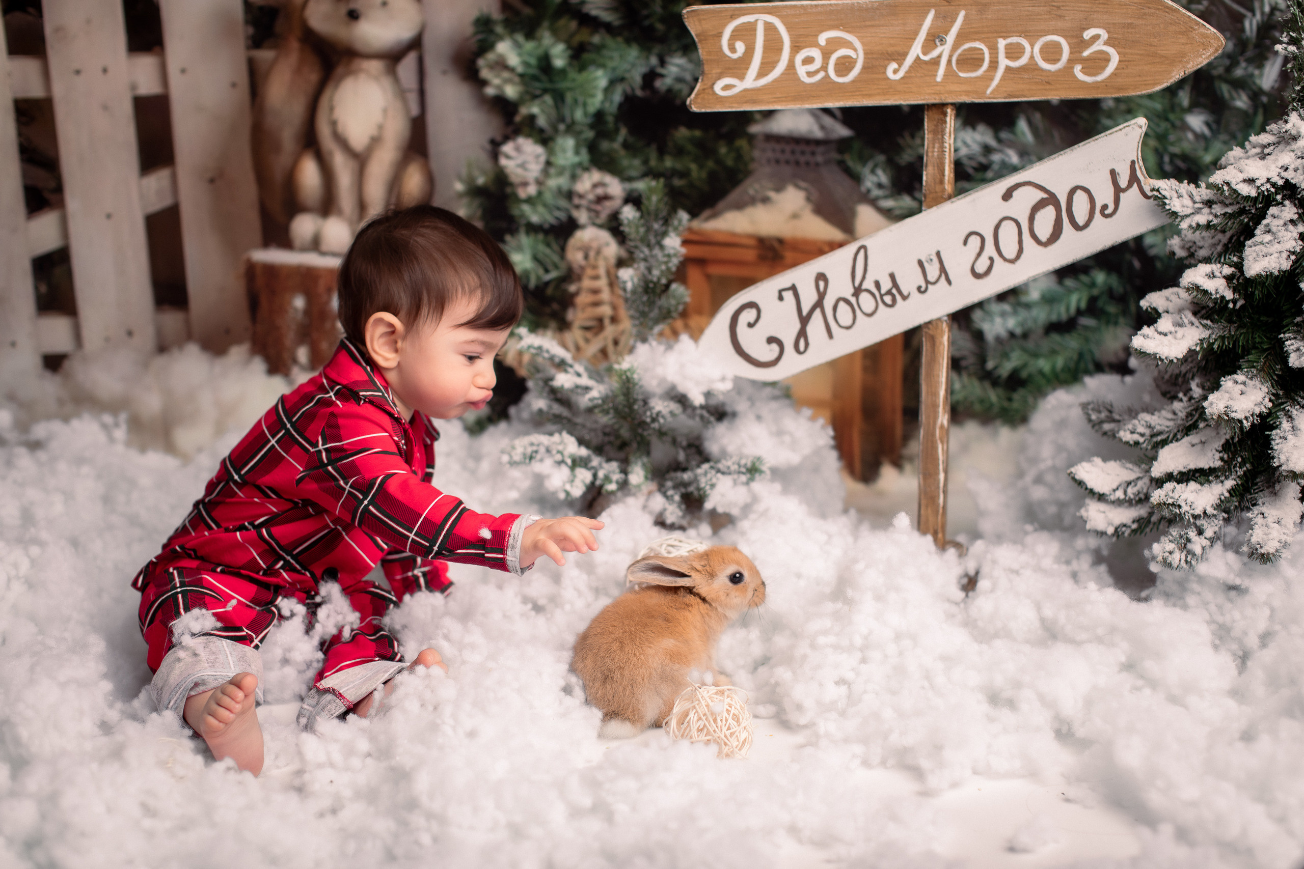 Отзывы. Фотограф новорождённых и детей до года на КМВ