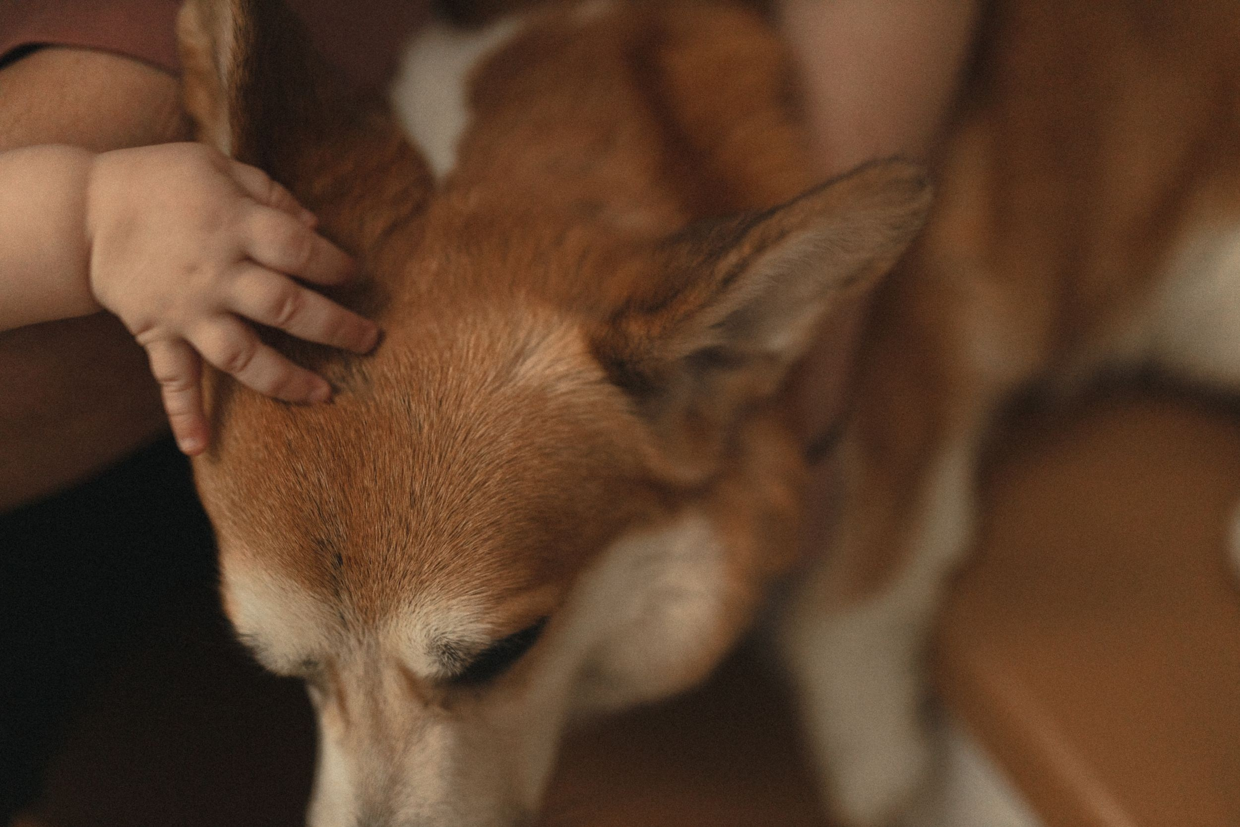 Домашний уют. Свадебный и семейный фотограф в Самаре и Москве